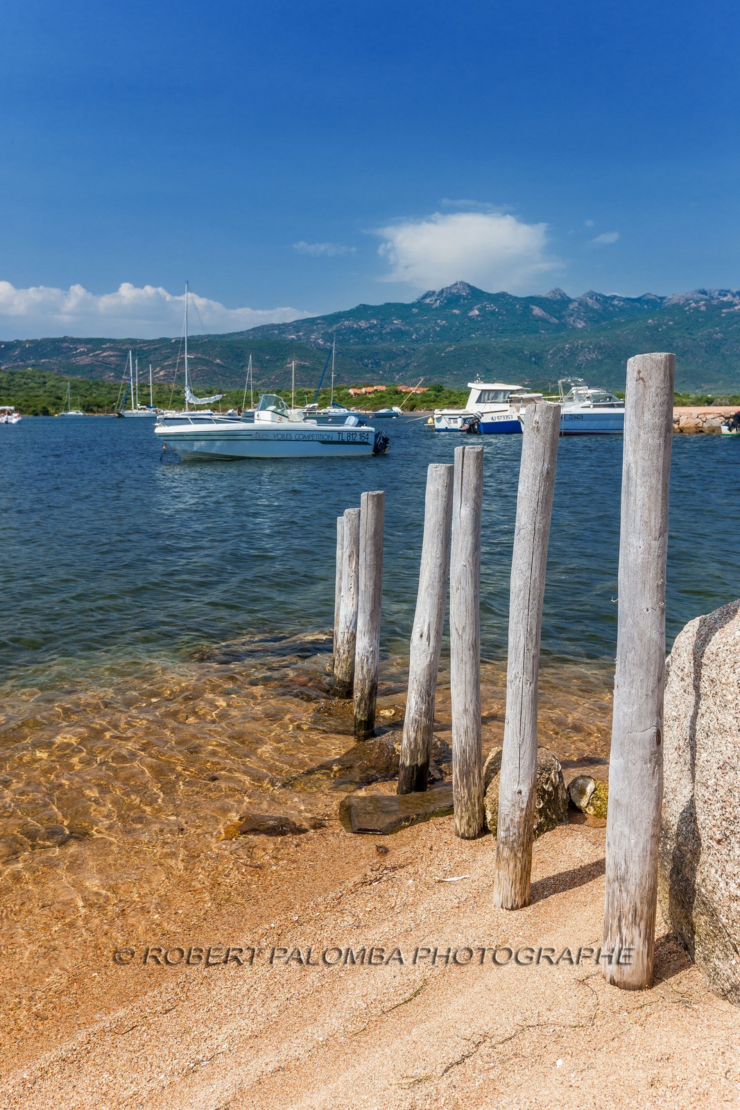 Figari