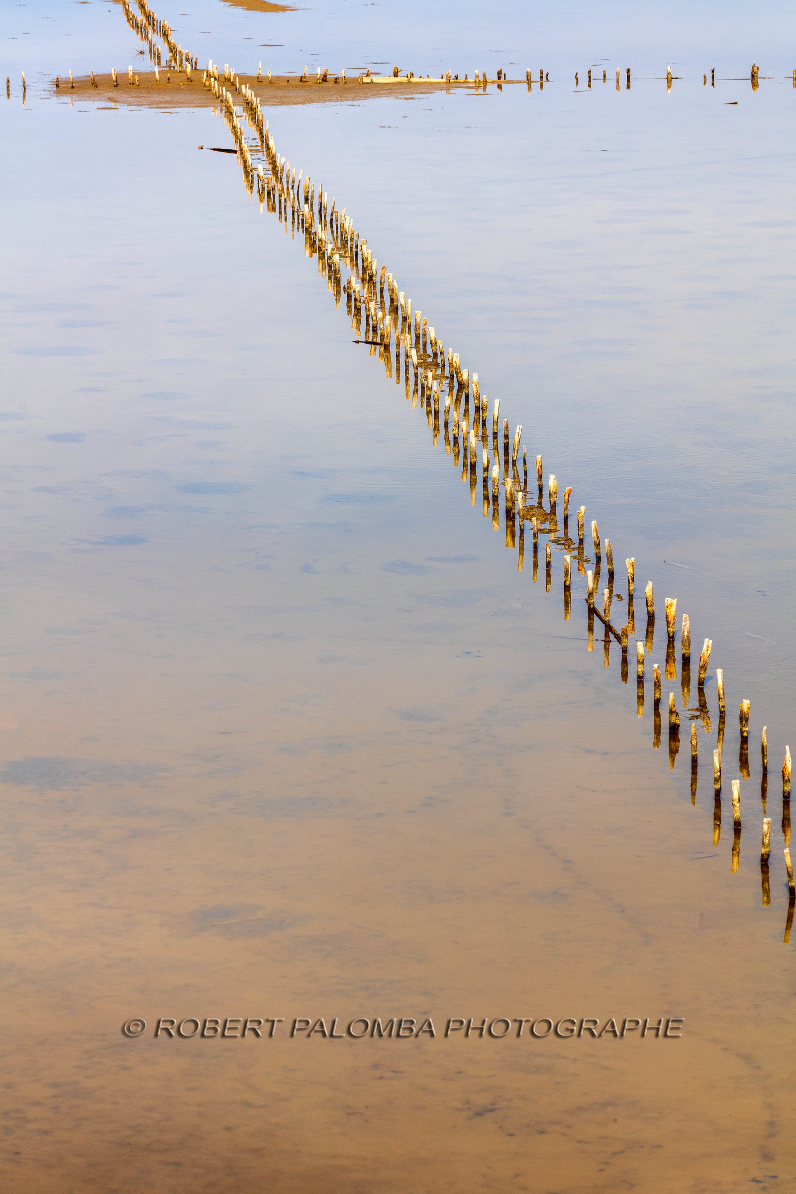 Salins d'Hyères