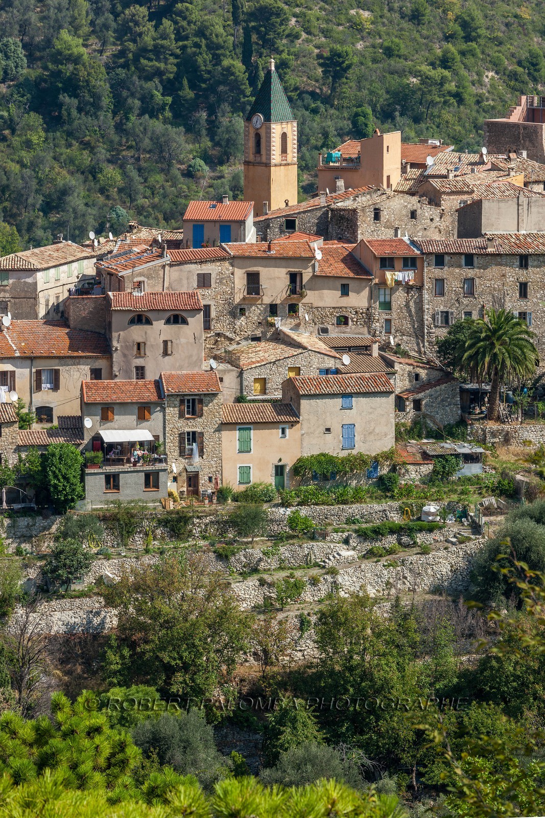 Gorbio