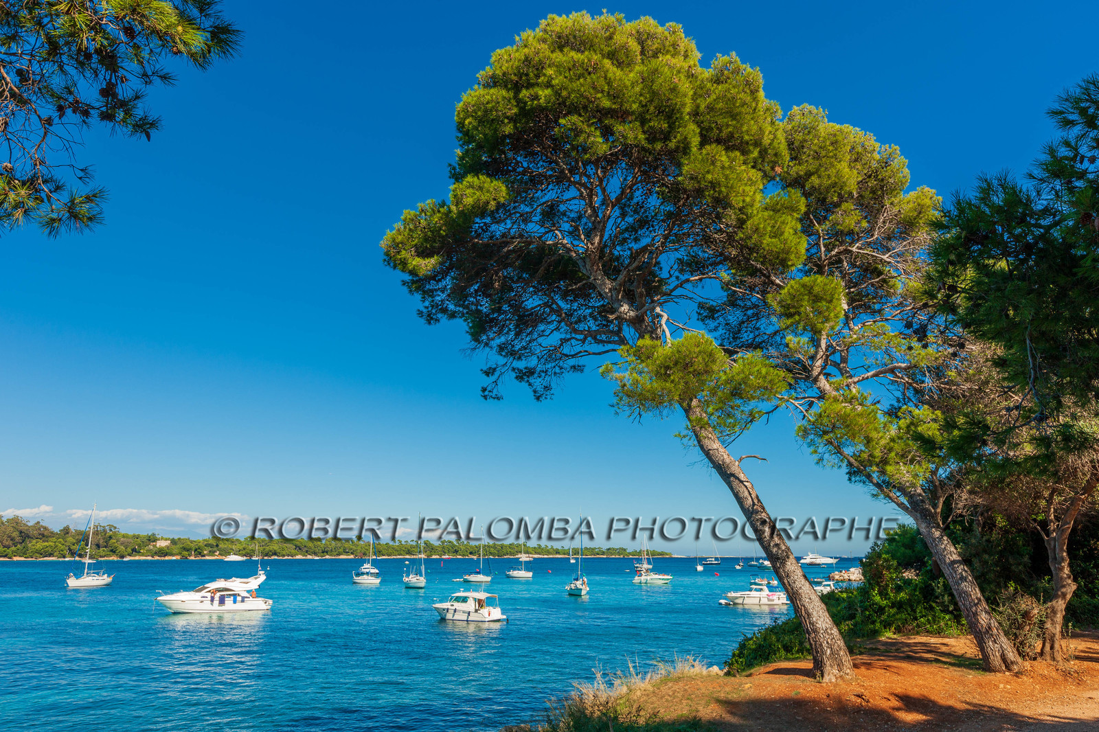 Ile St Honorat