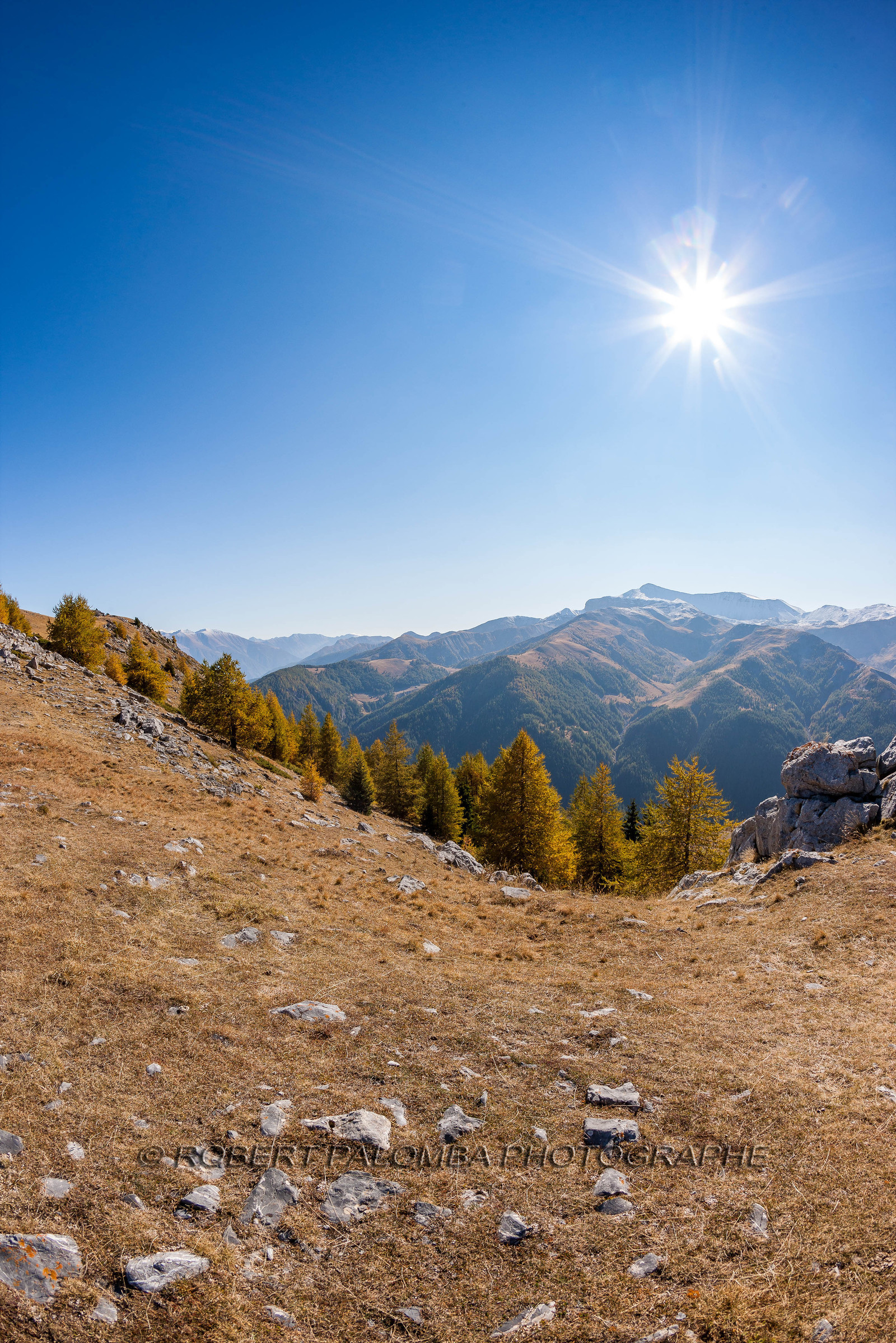 Auron