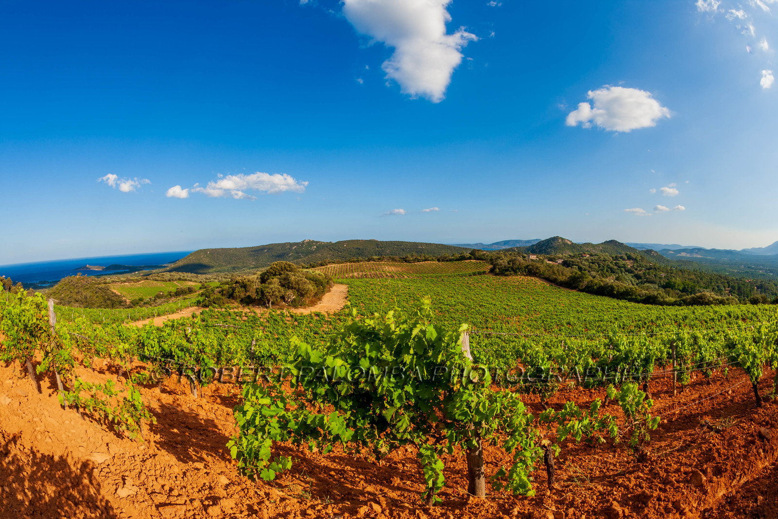 Domaine de Torracia
