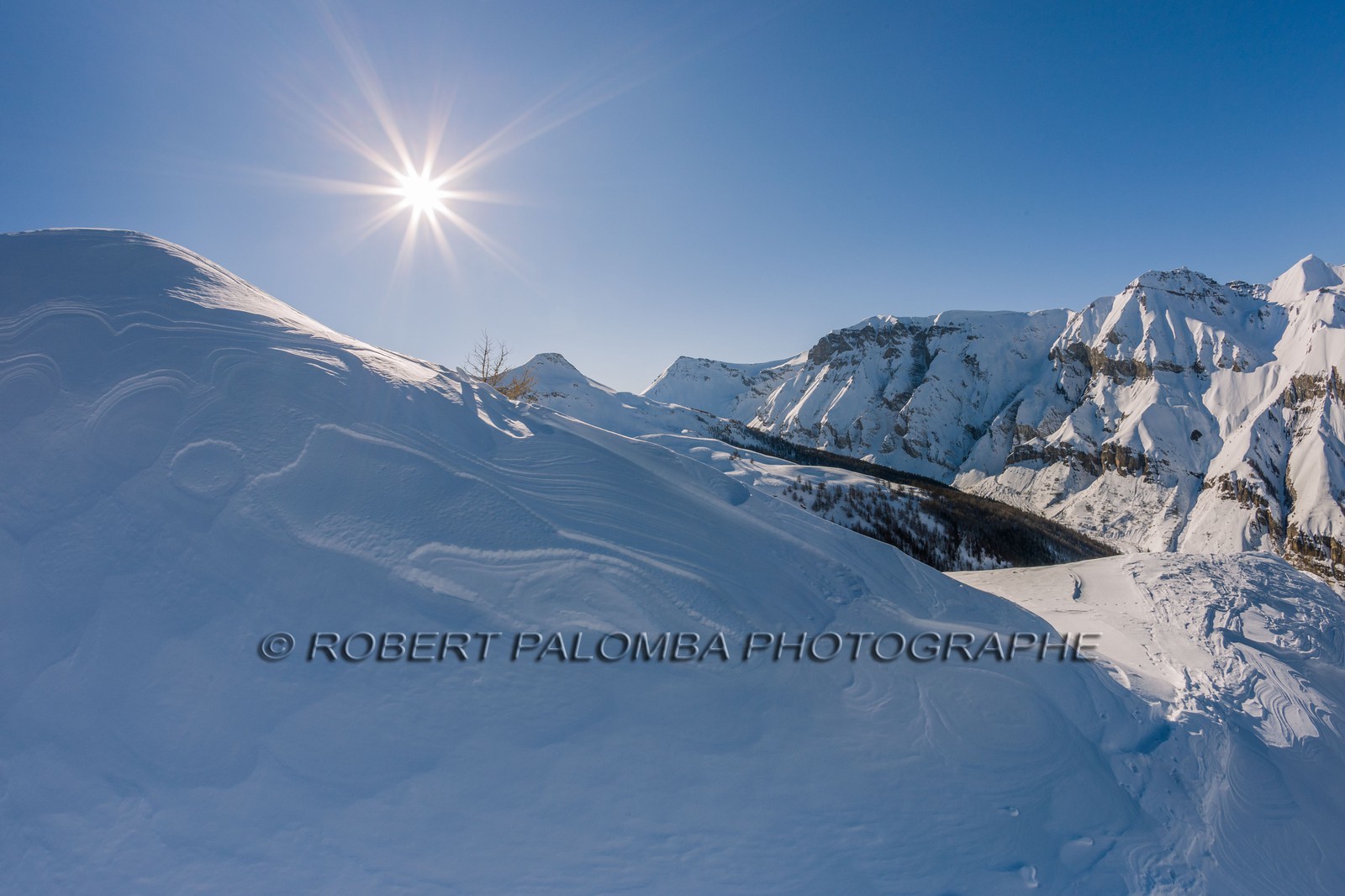 Auron