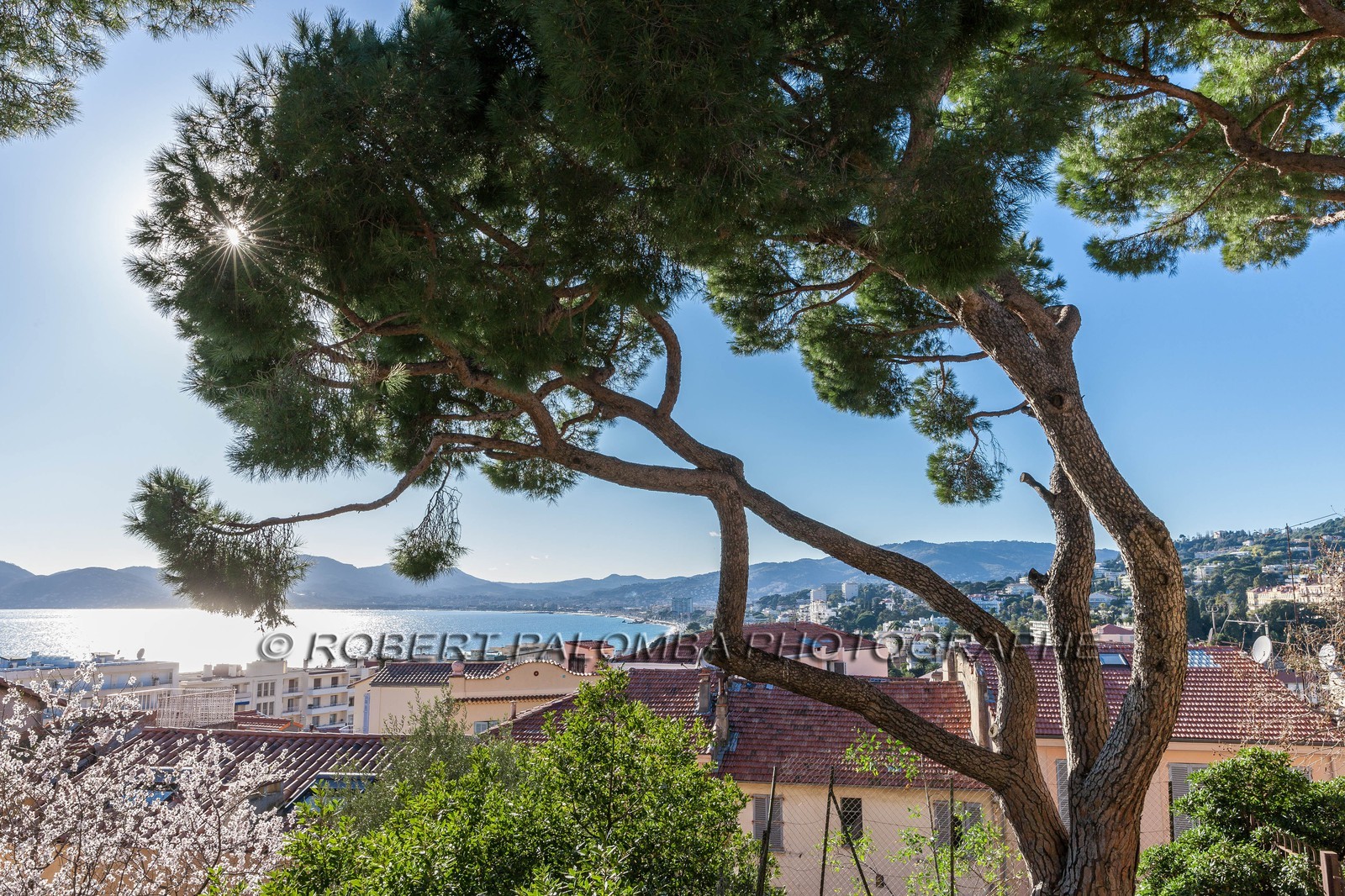 Cannes