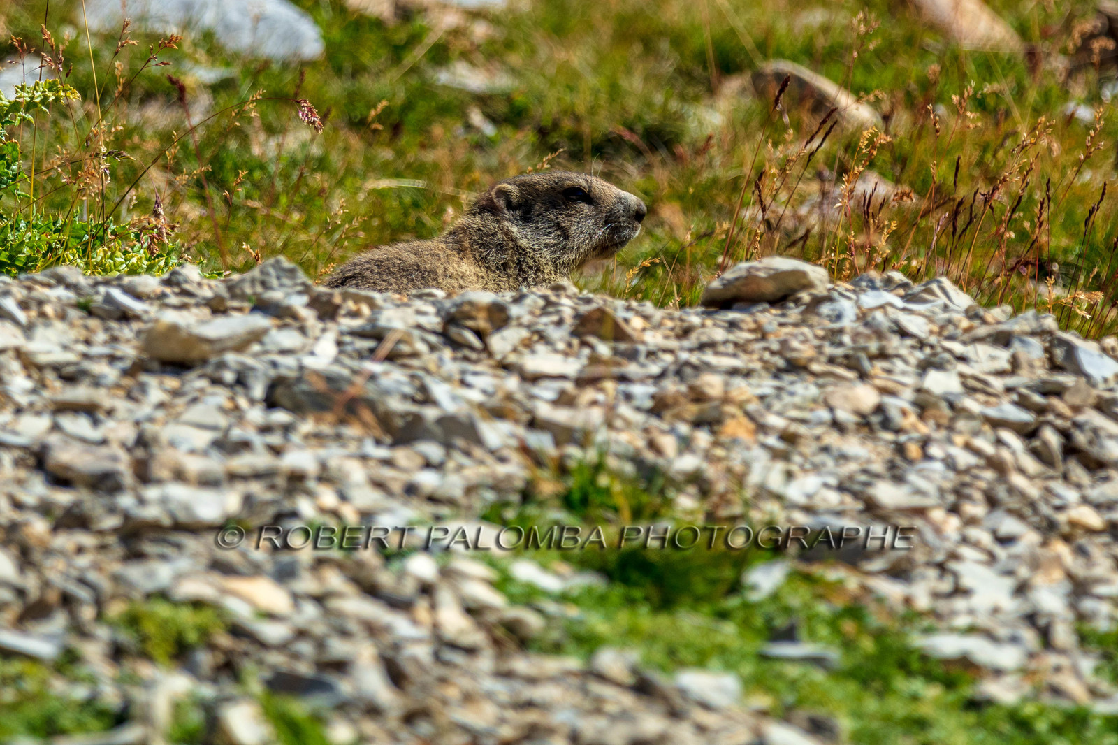 Rando des trois lacs
