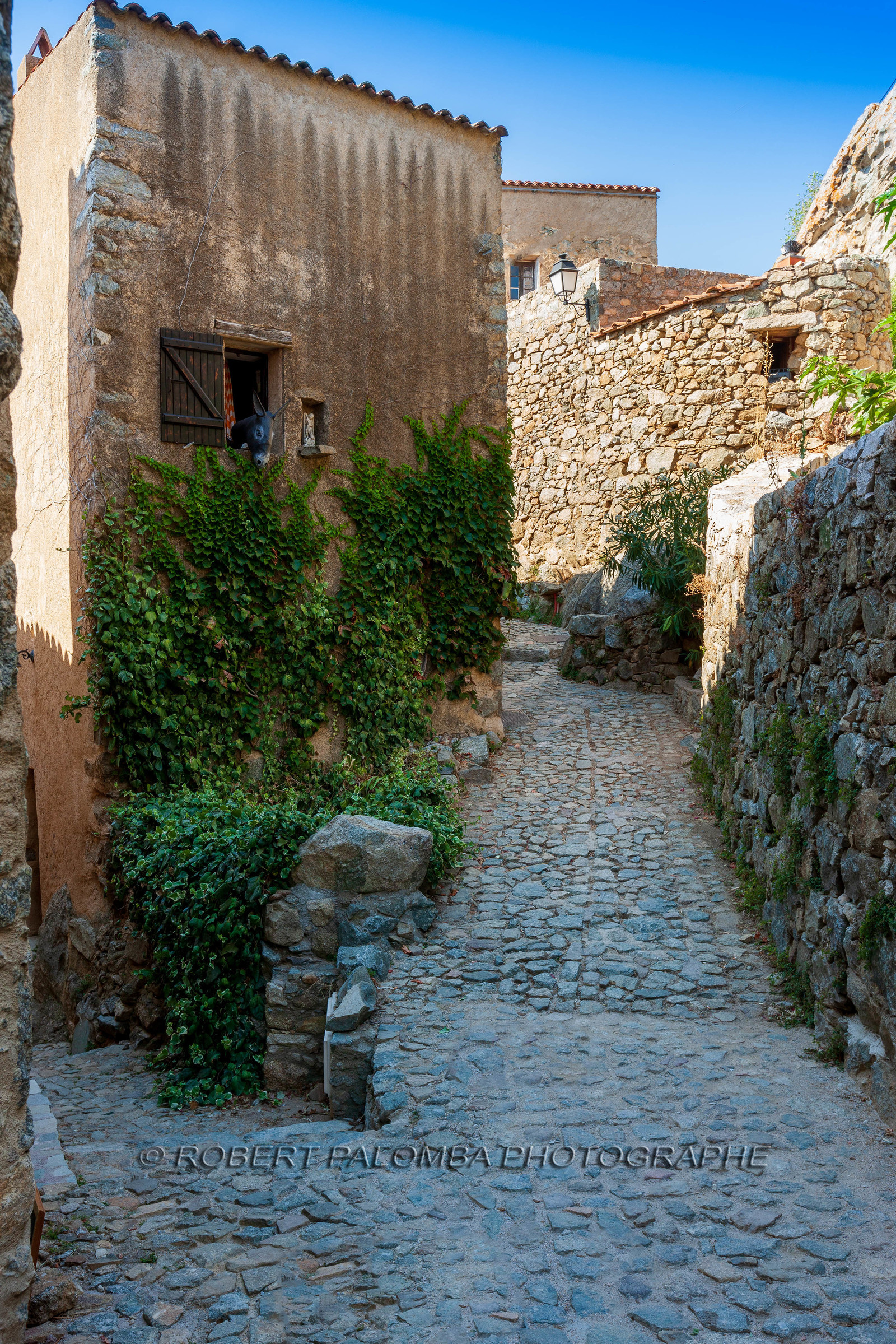Sant' Antonino