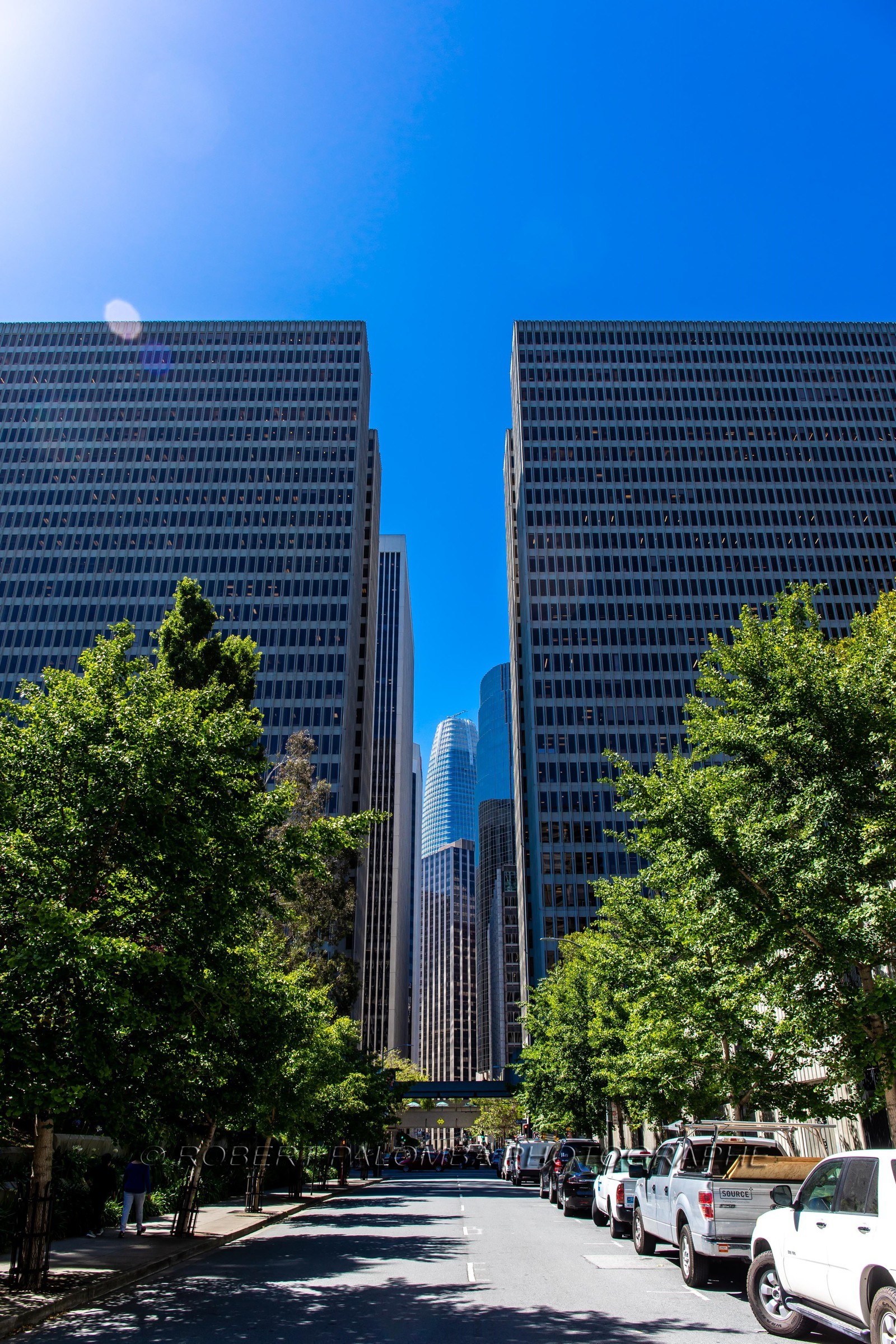 Angle de Washington avenue et David avenue à San Francisco Angle de Washington avenue et David avenue à San Francisco