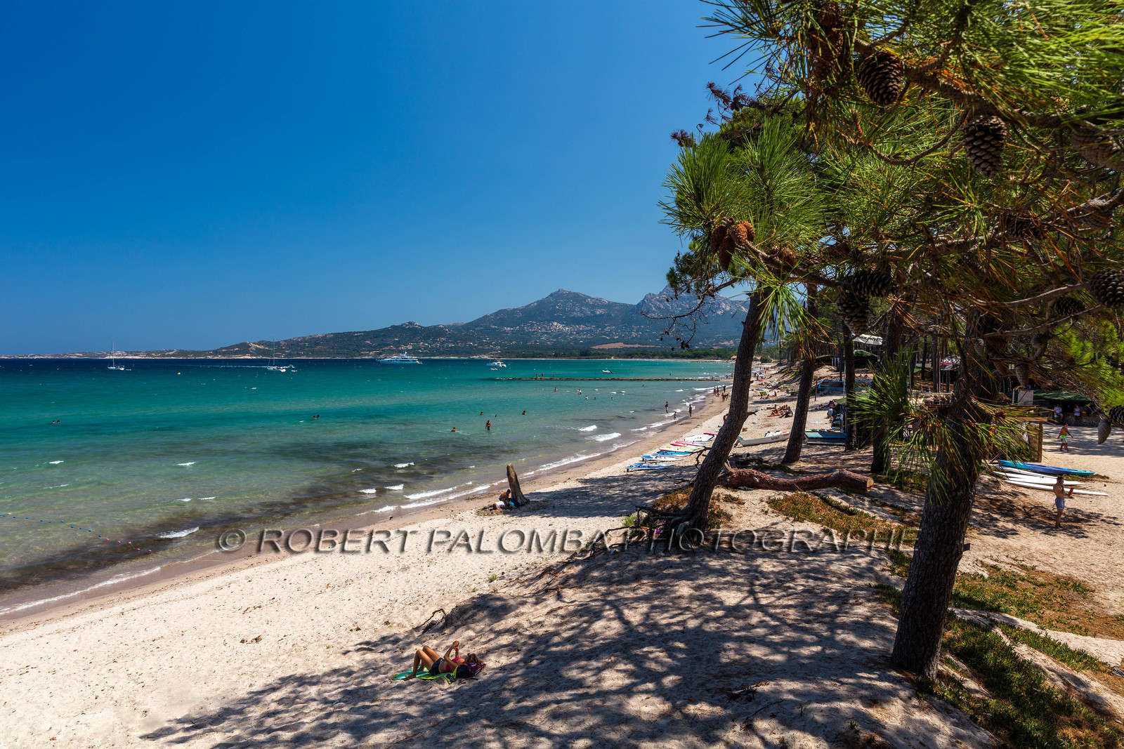 Calvi