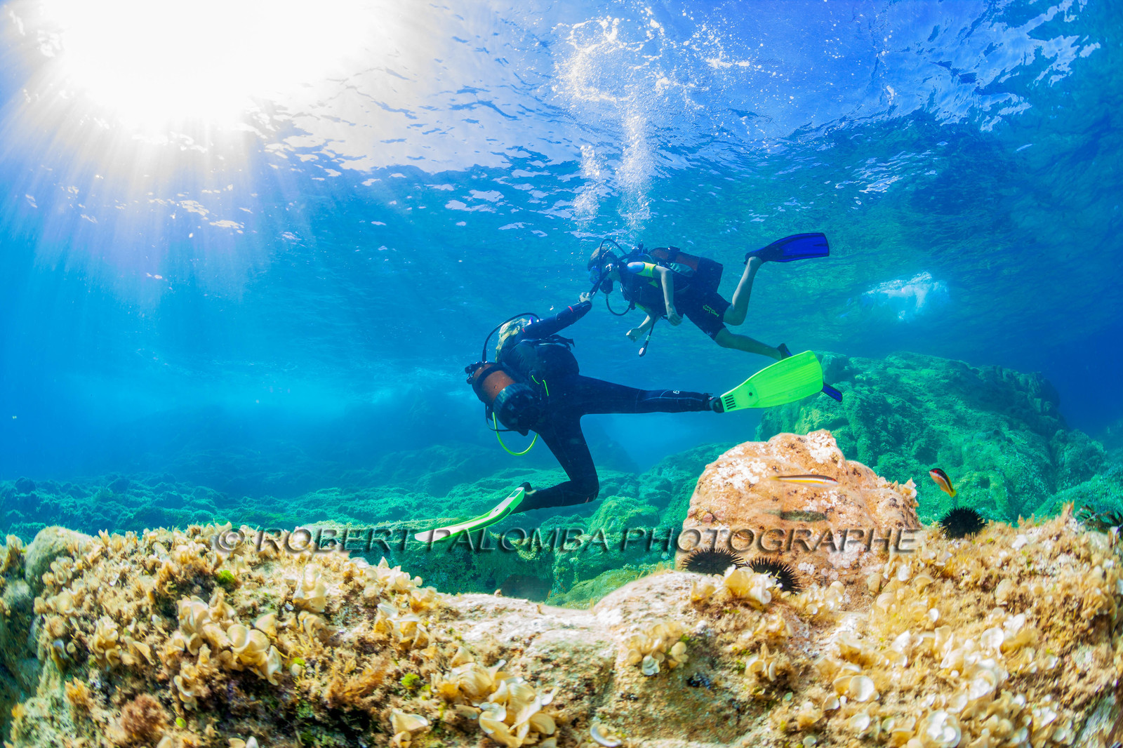 Plongée-sous-marine