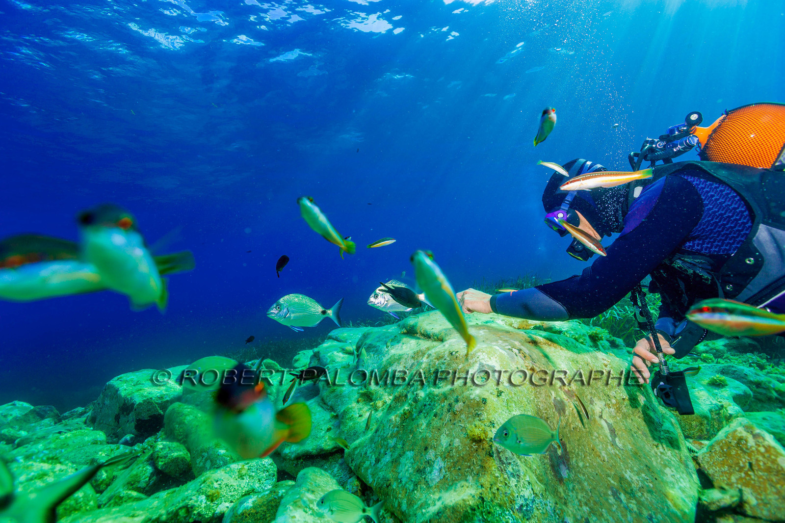 Plongée-sous-marine