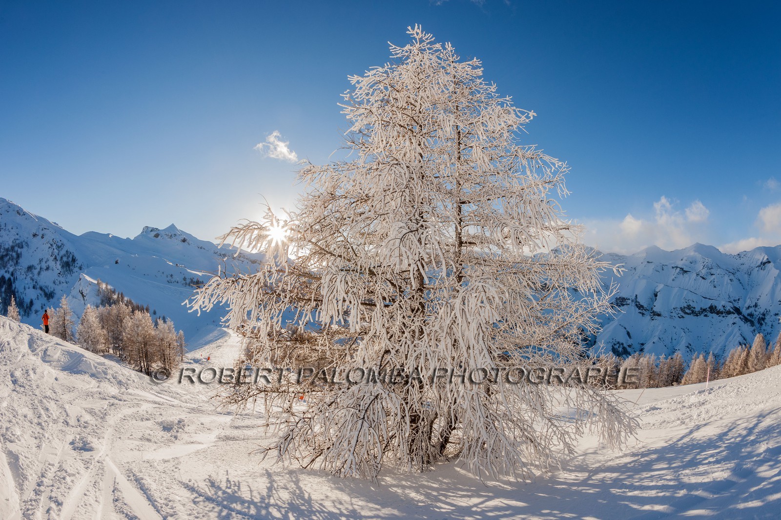 Auron