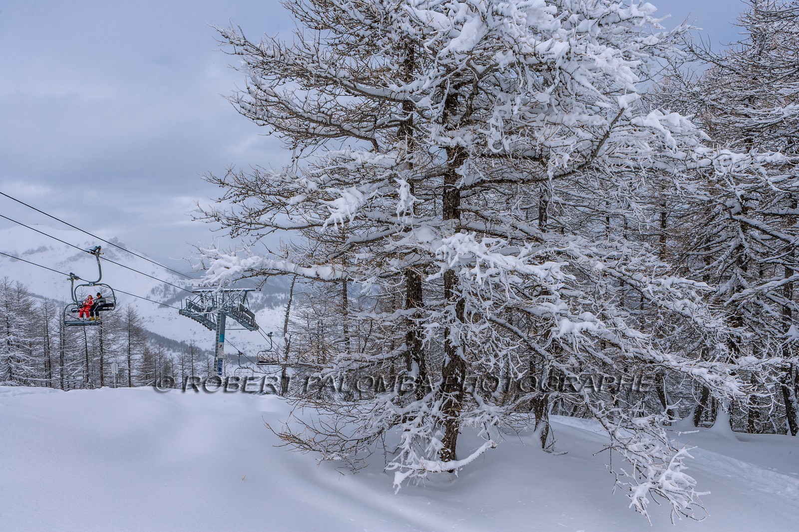 Auron