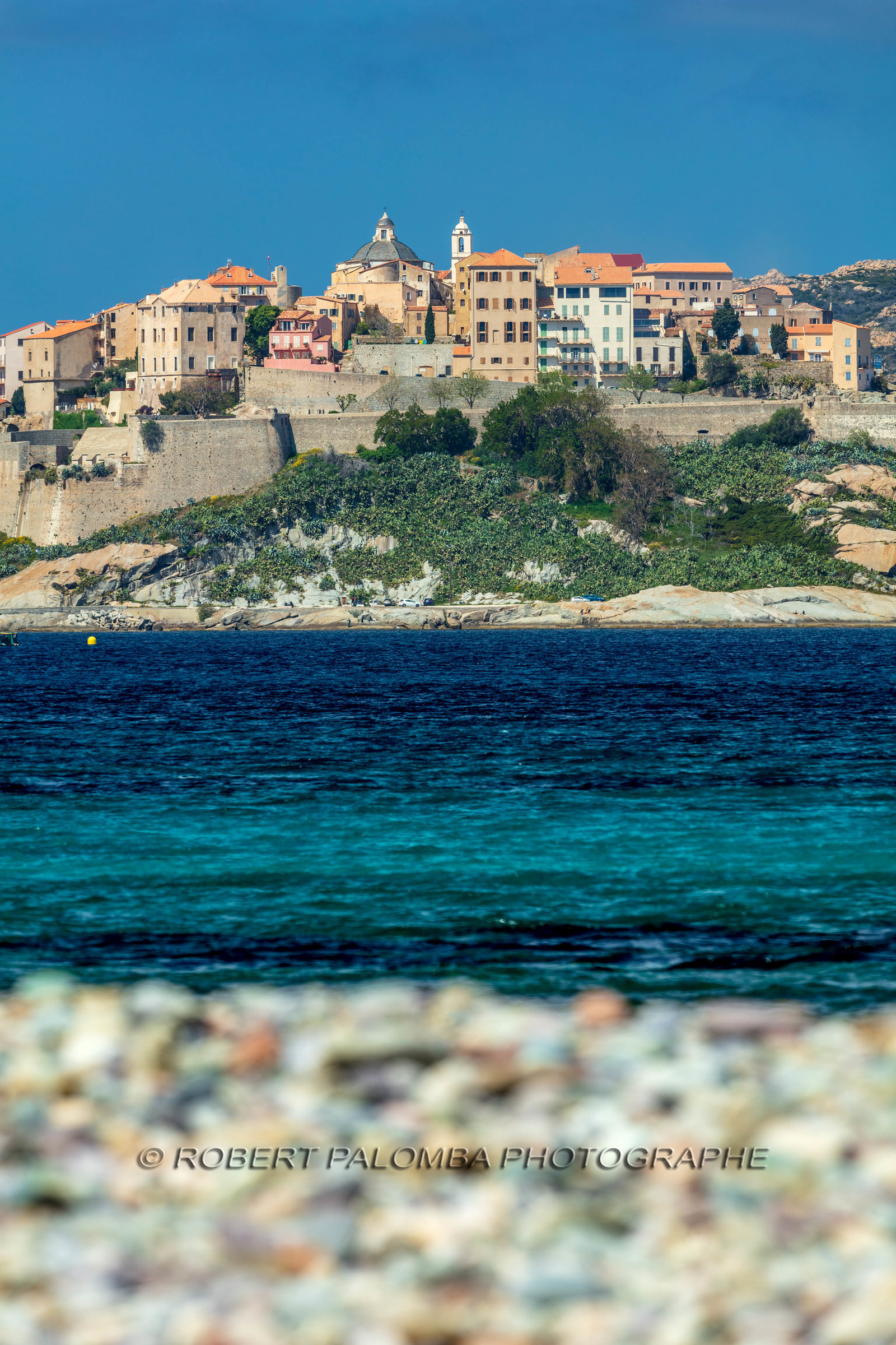 Calvi