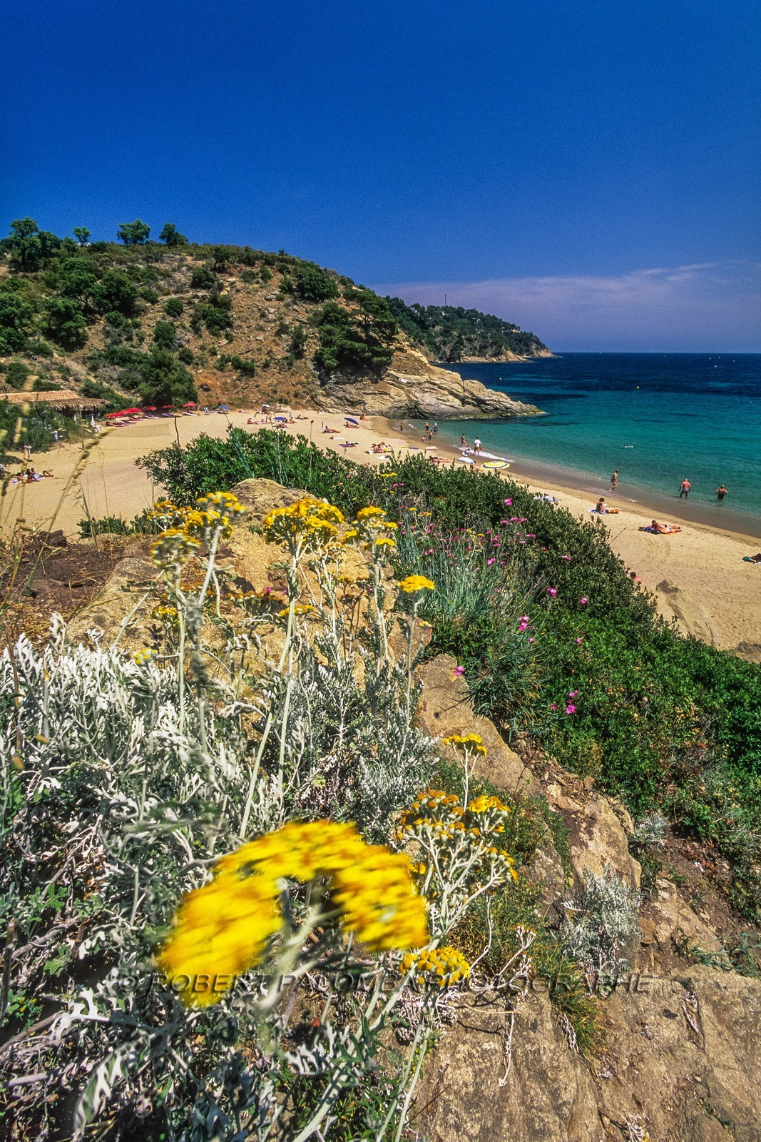 Cavalaire