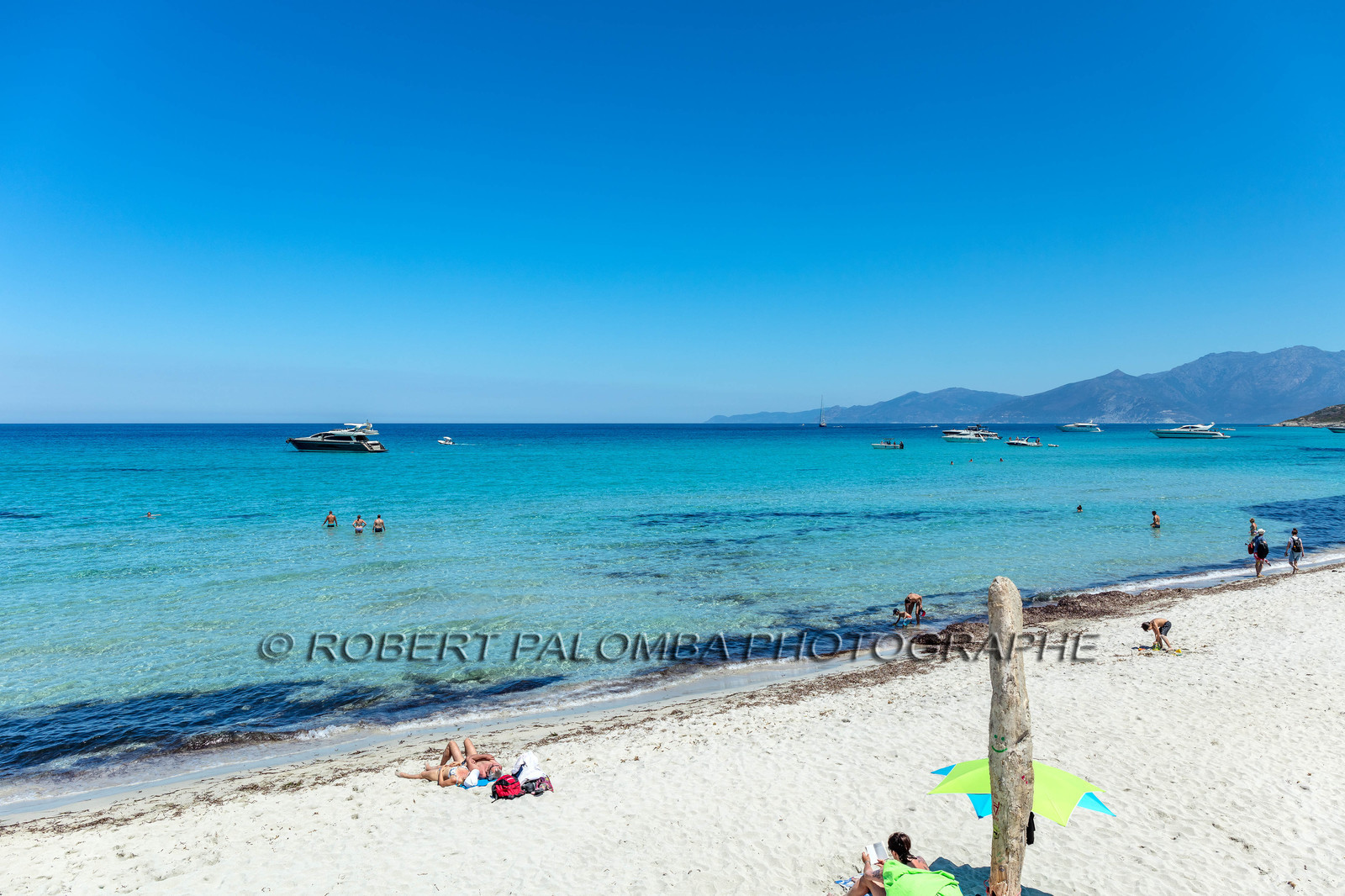 Saleccia