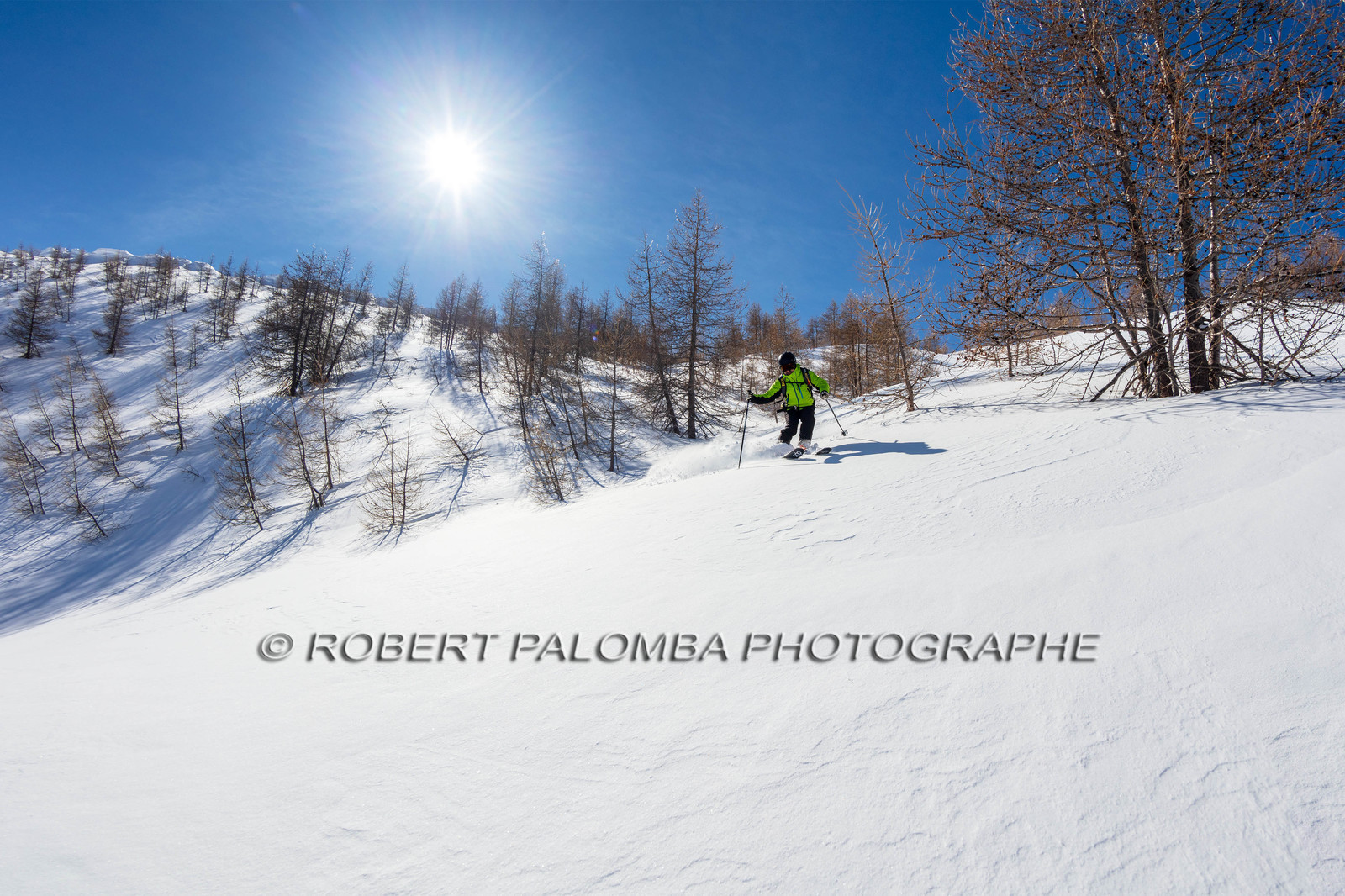 Freeride