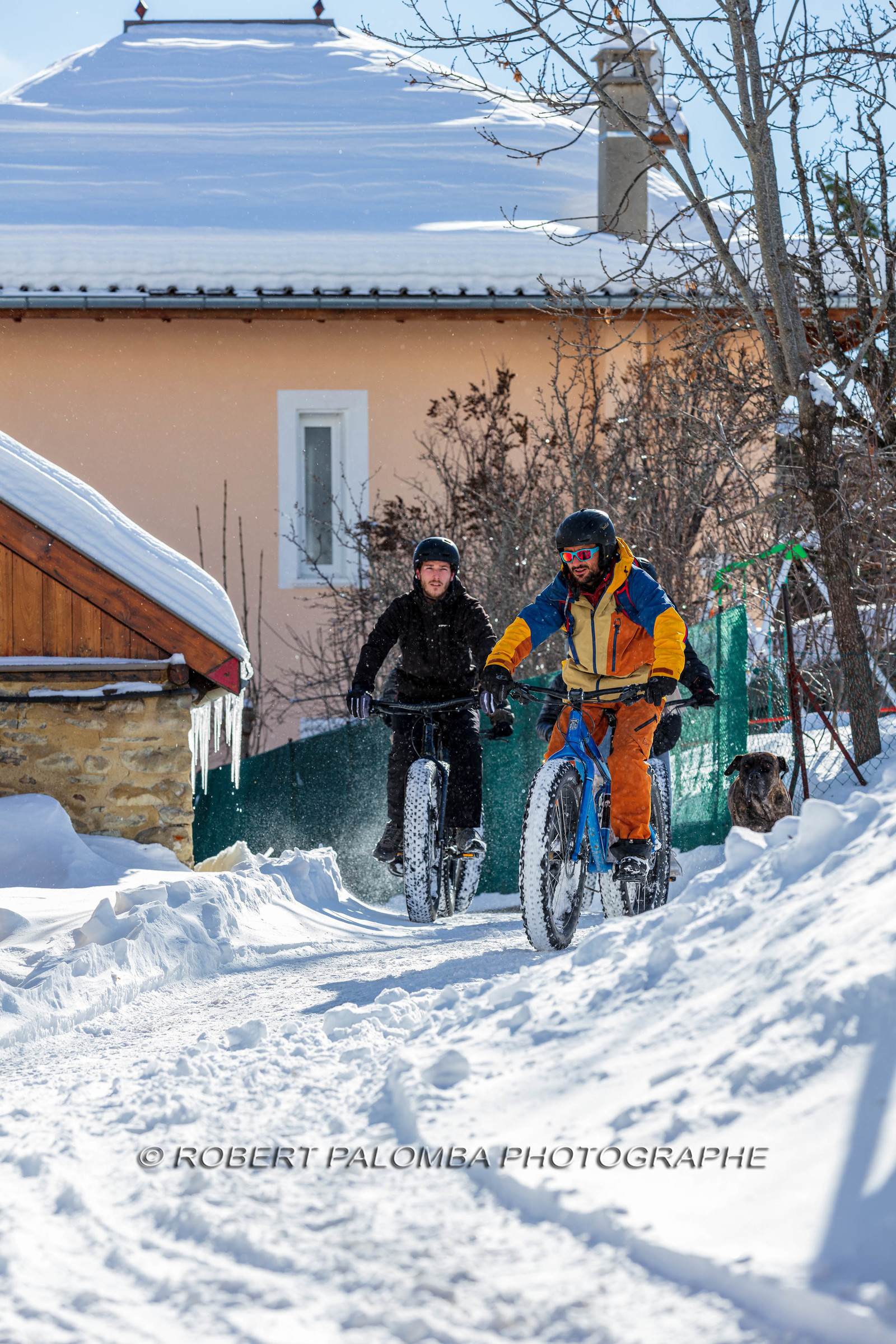 Fat Bike