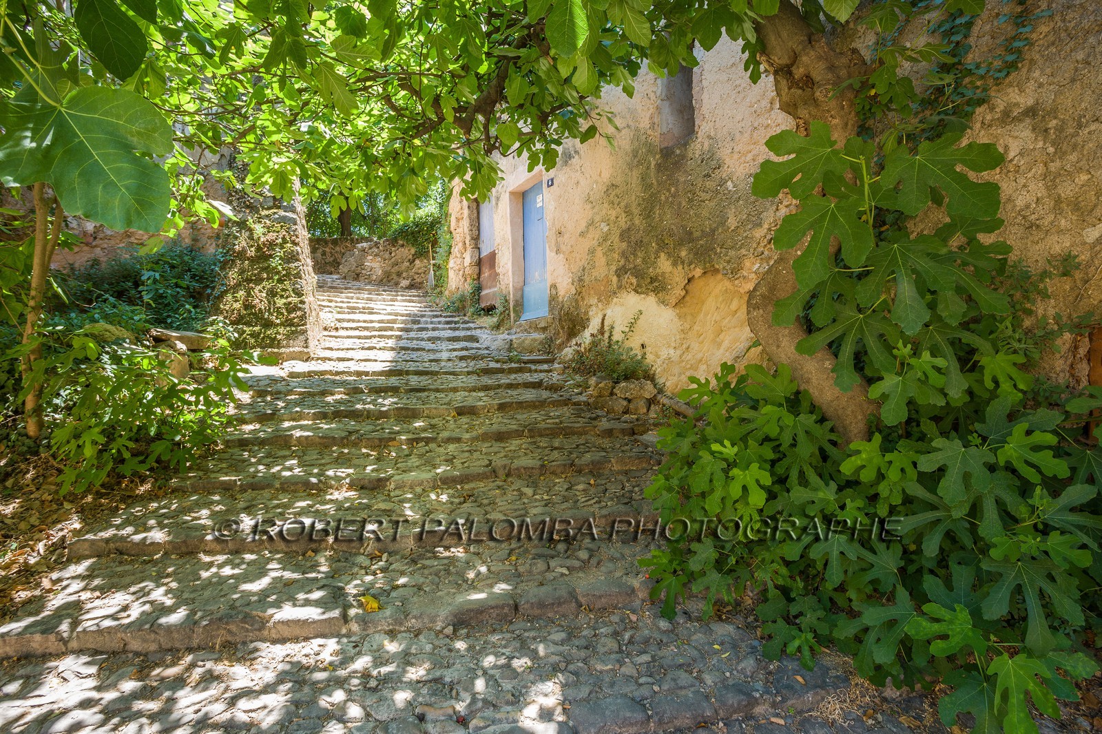 Cotignac
