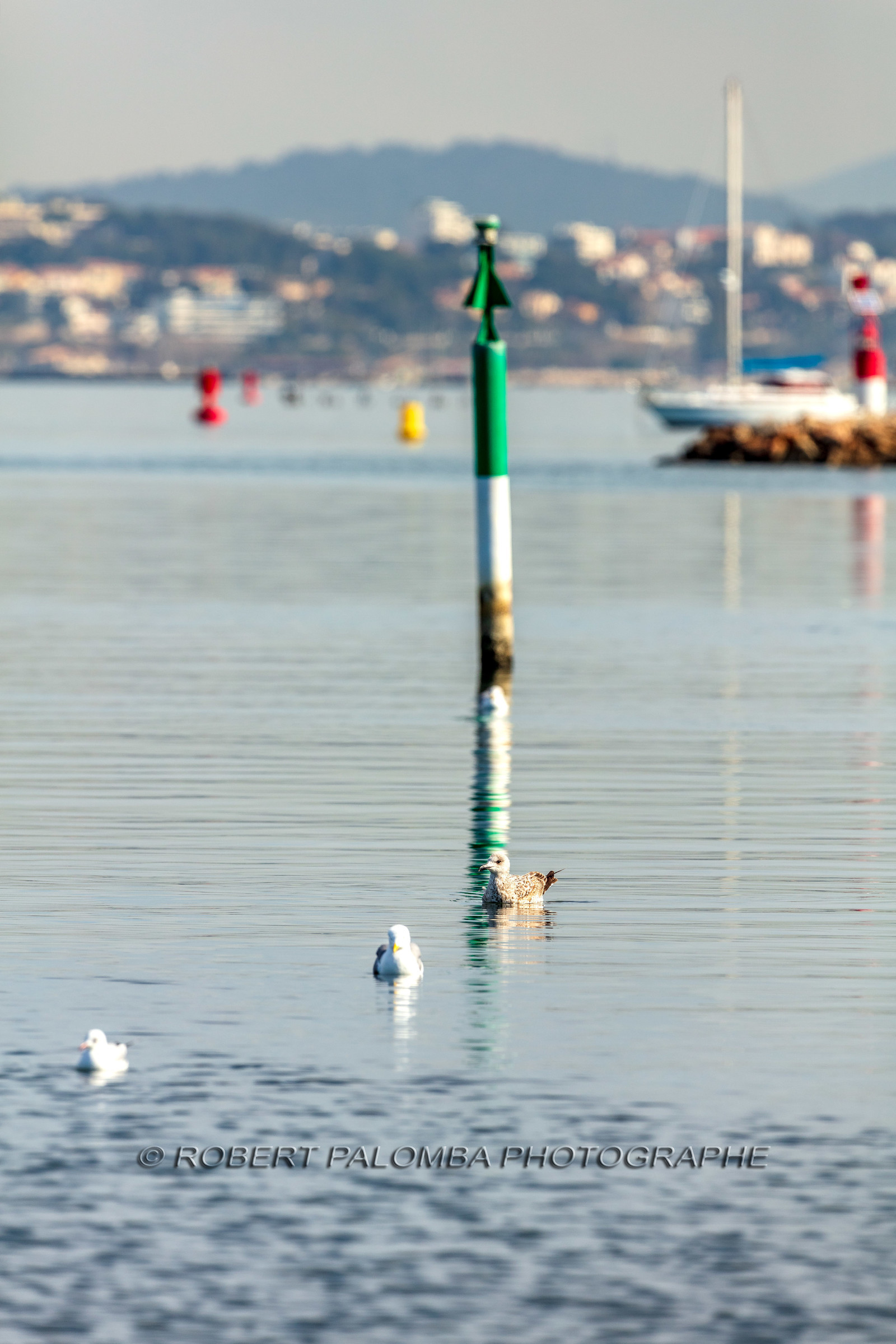 La Seyne-sur-Mer