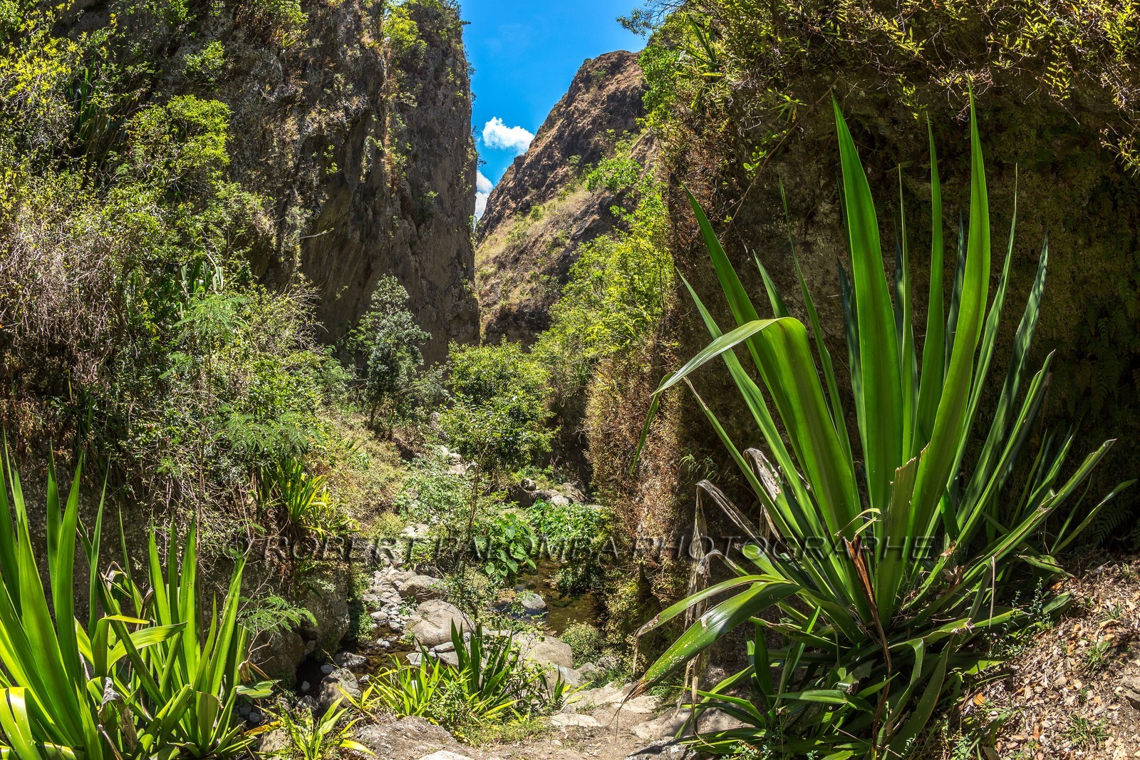 Ile de La Réunion