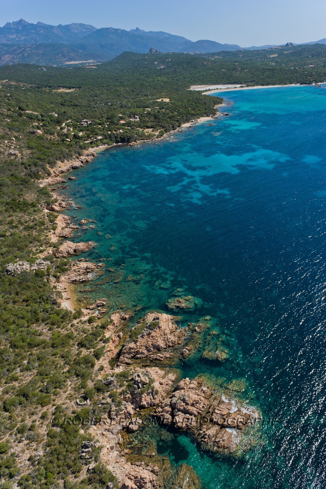Figari