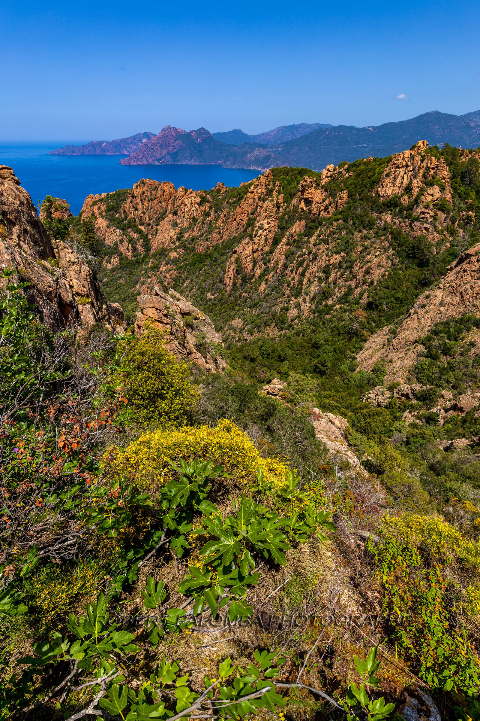 Calanche