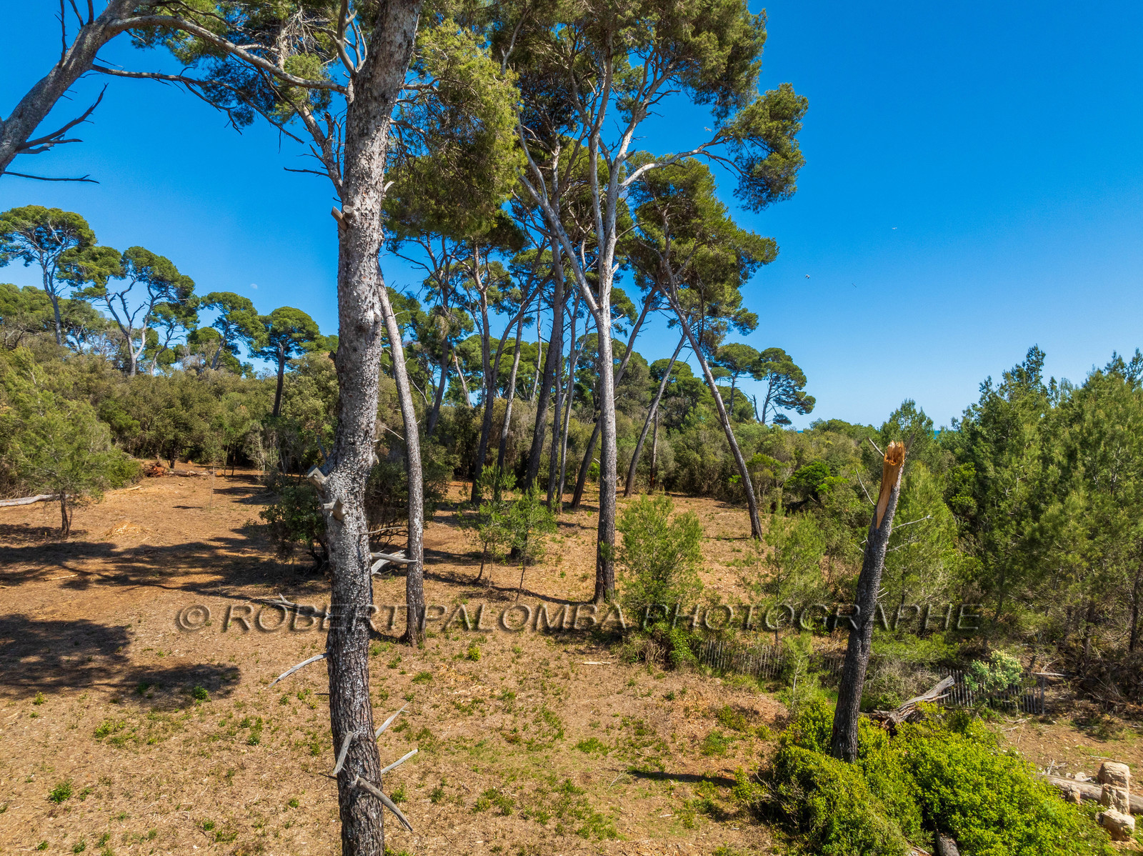 Lérins Sainte-Marguerite 2024