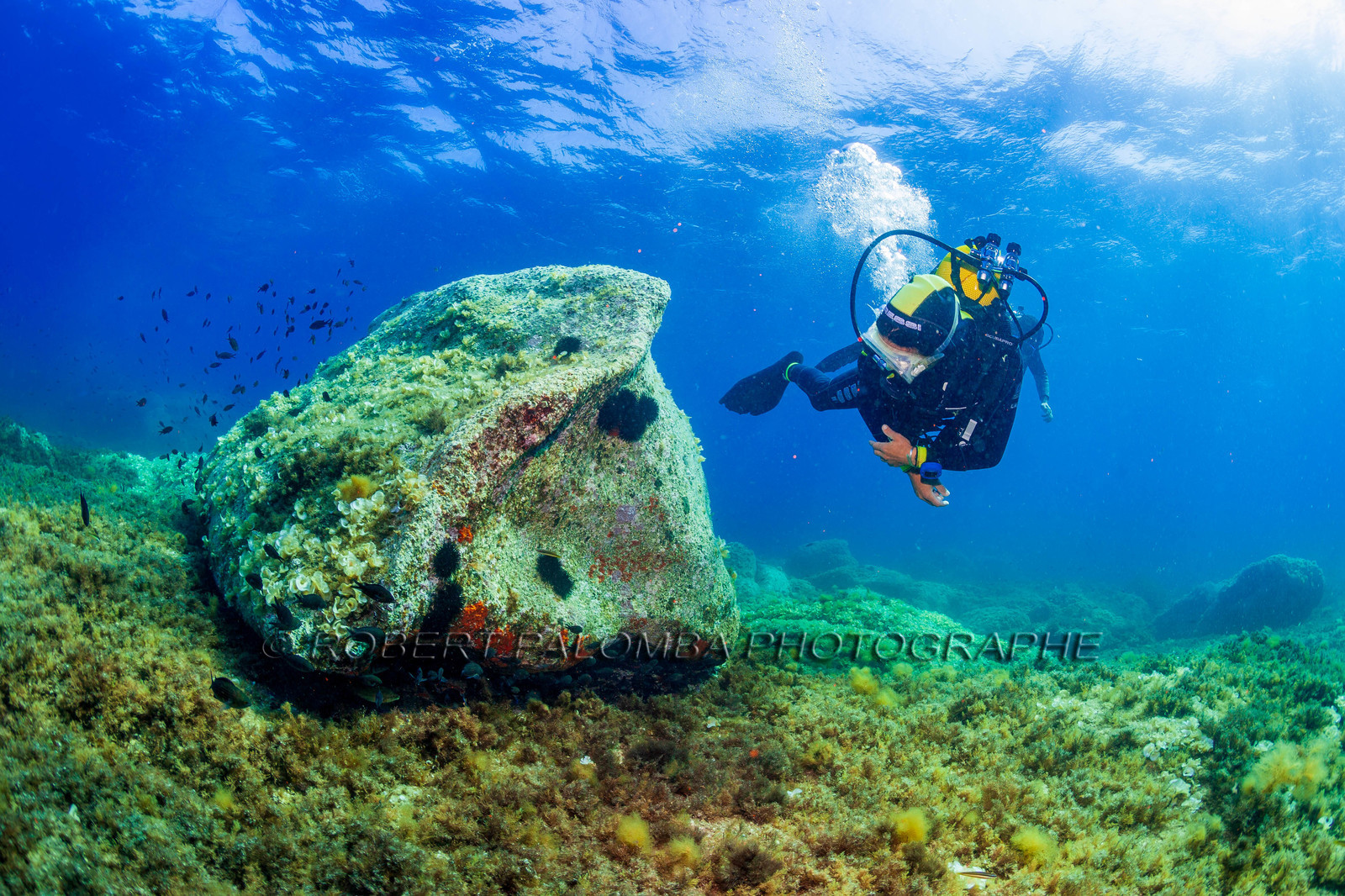 Plongée-sous-marine