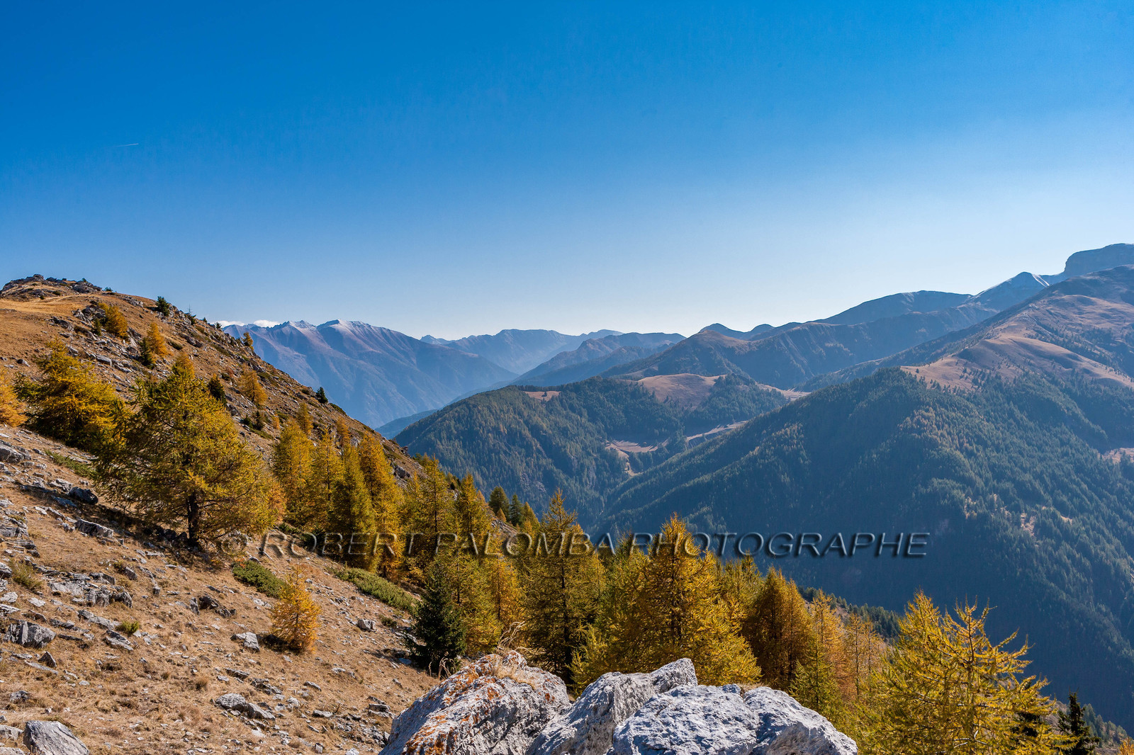 Auron