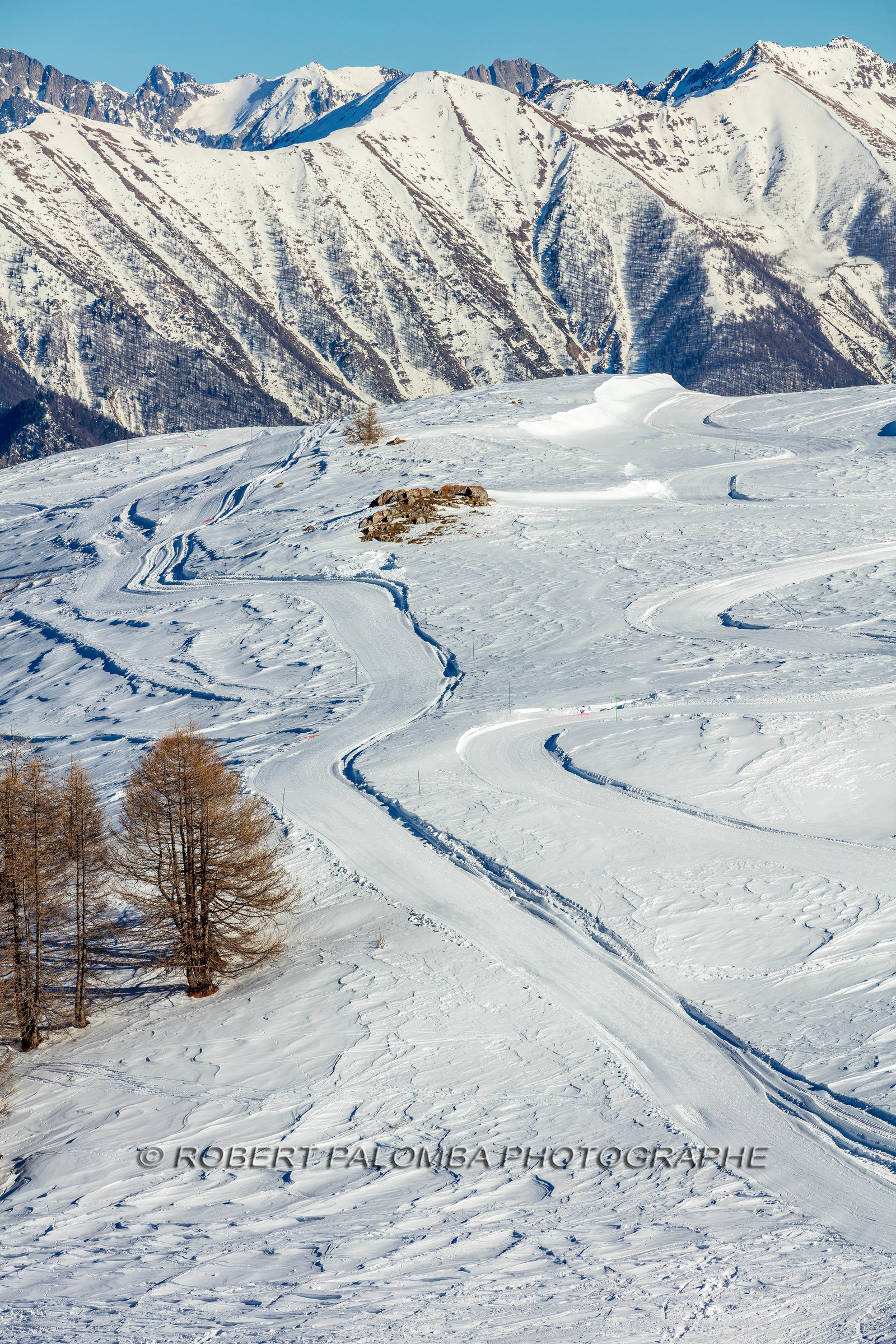 Auron