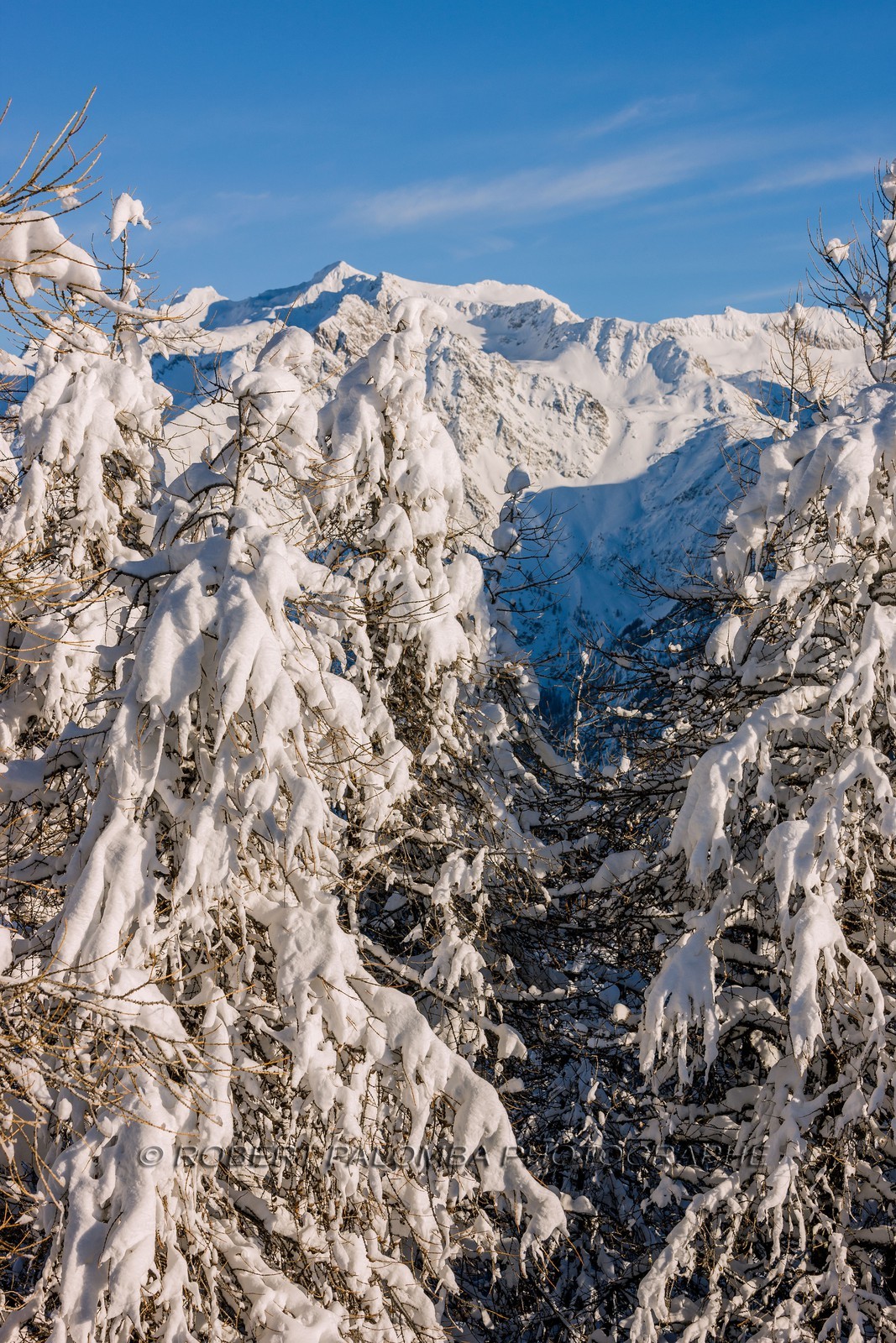 Auron