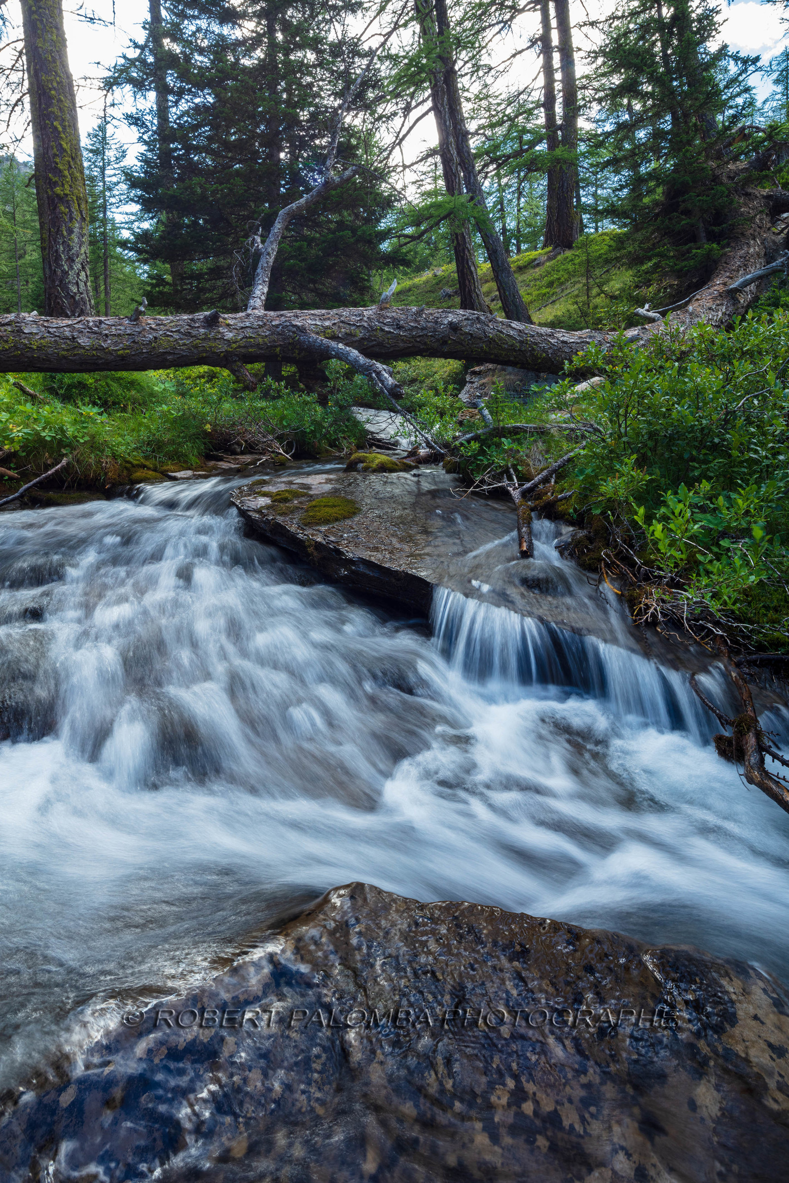 Torrent