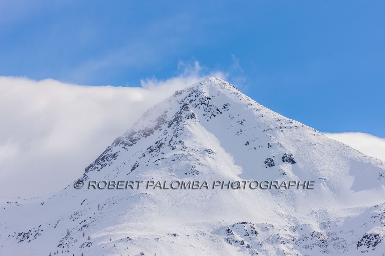 Auron