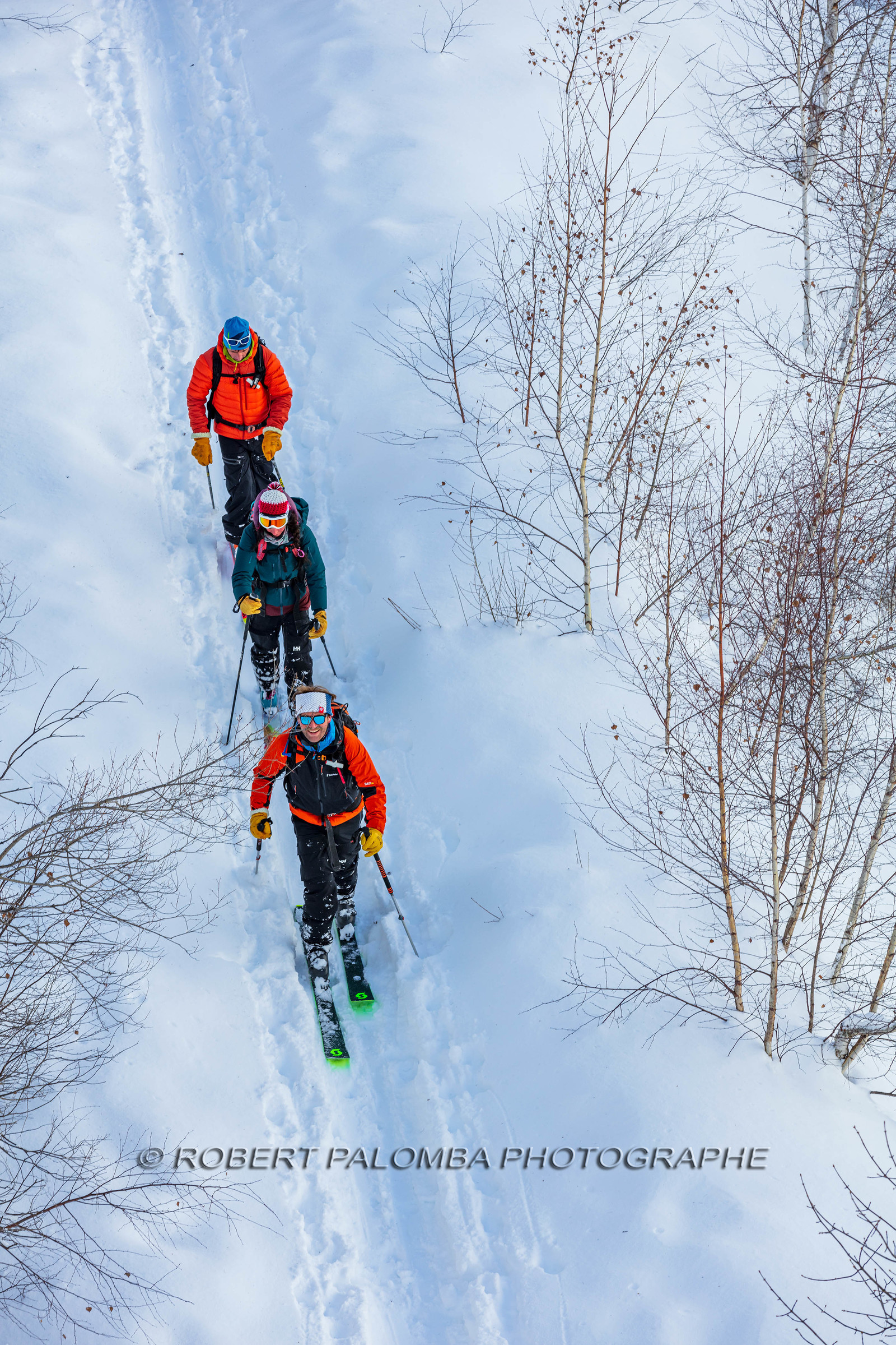 Ski de randonnée