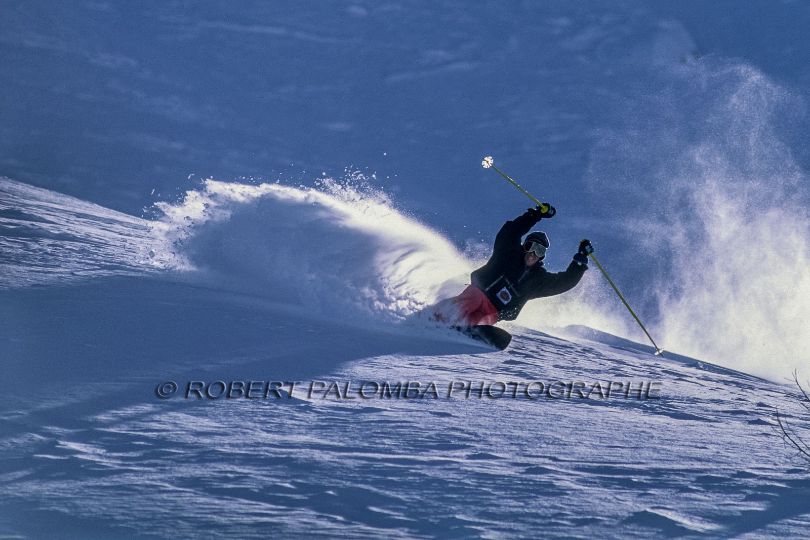Monoski