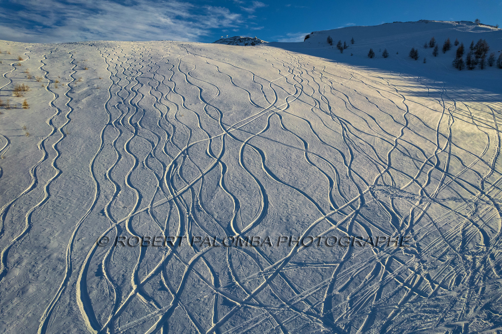 Auron