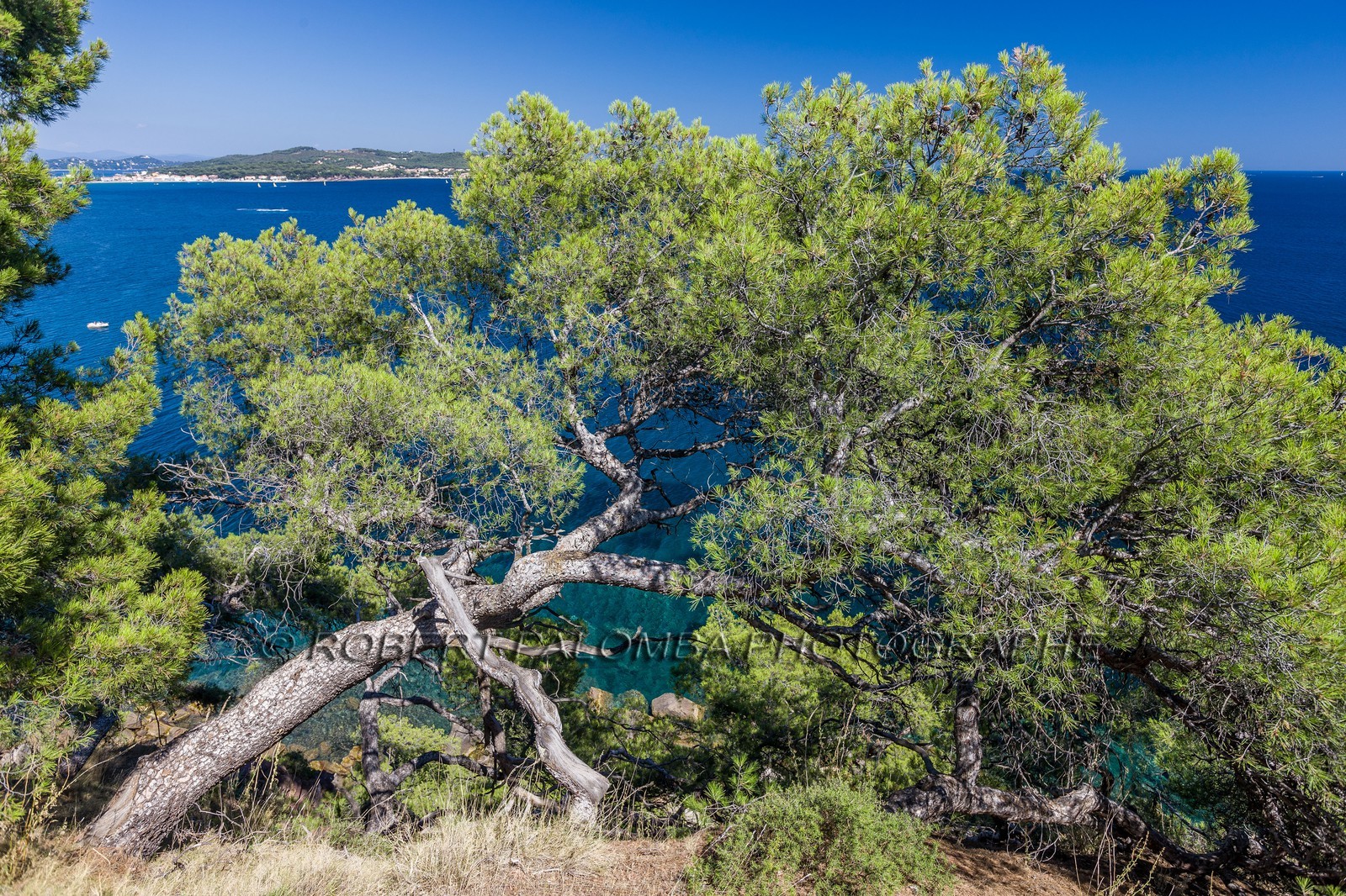 La Seyne-sur-Mer