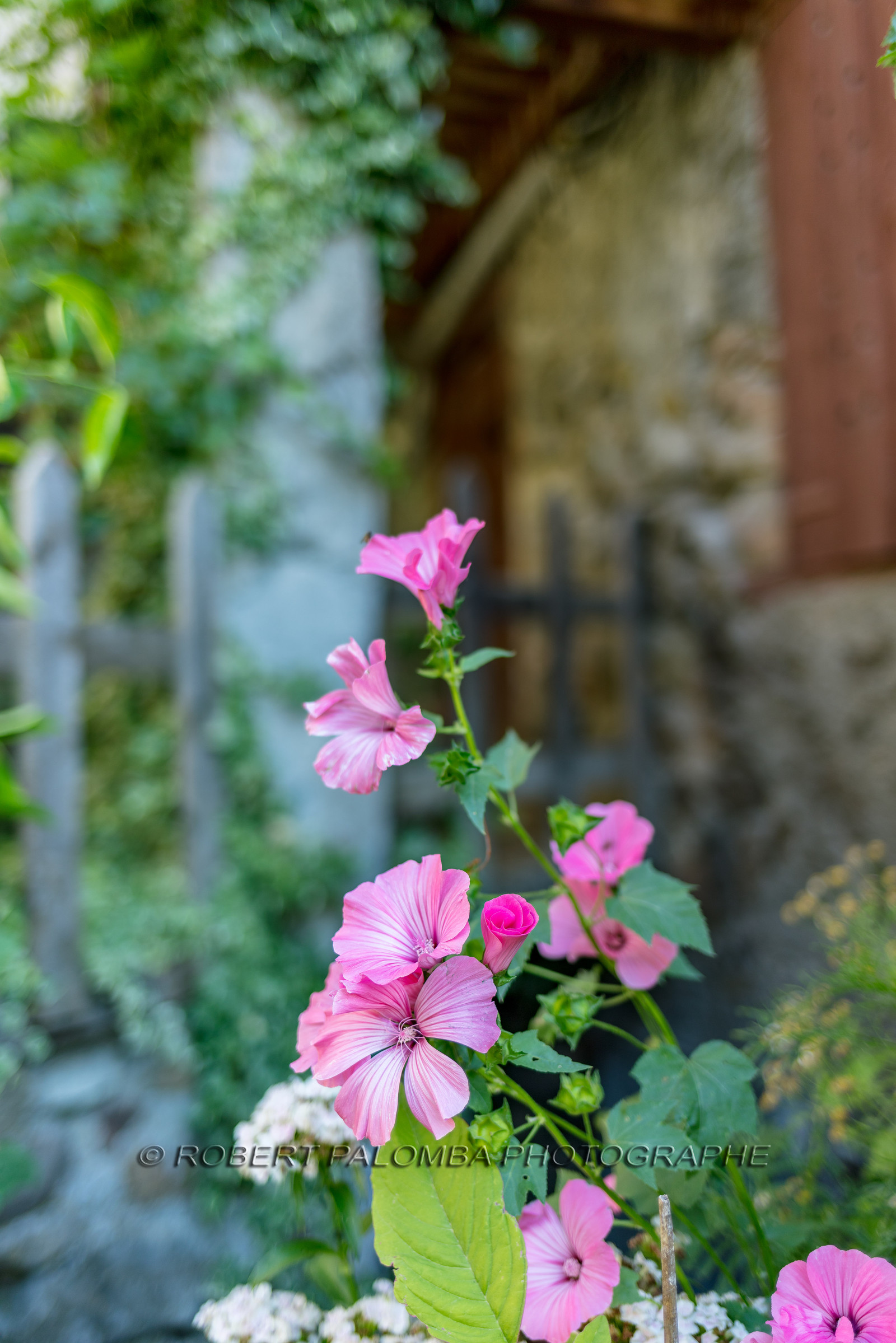 Villars-Colmars