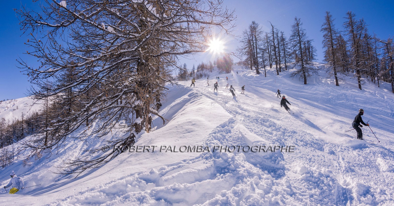 Auron