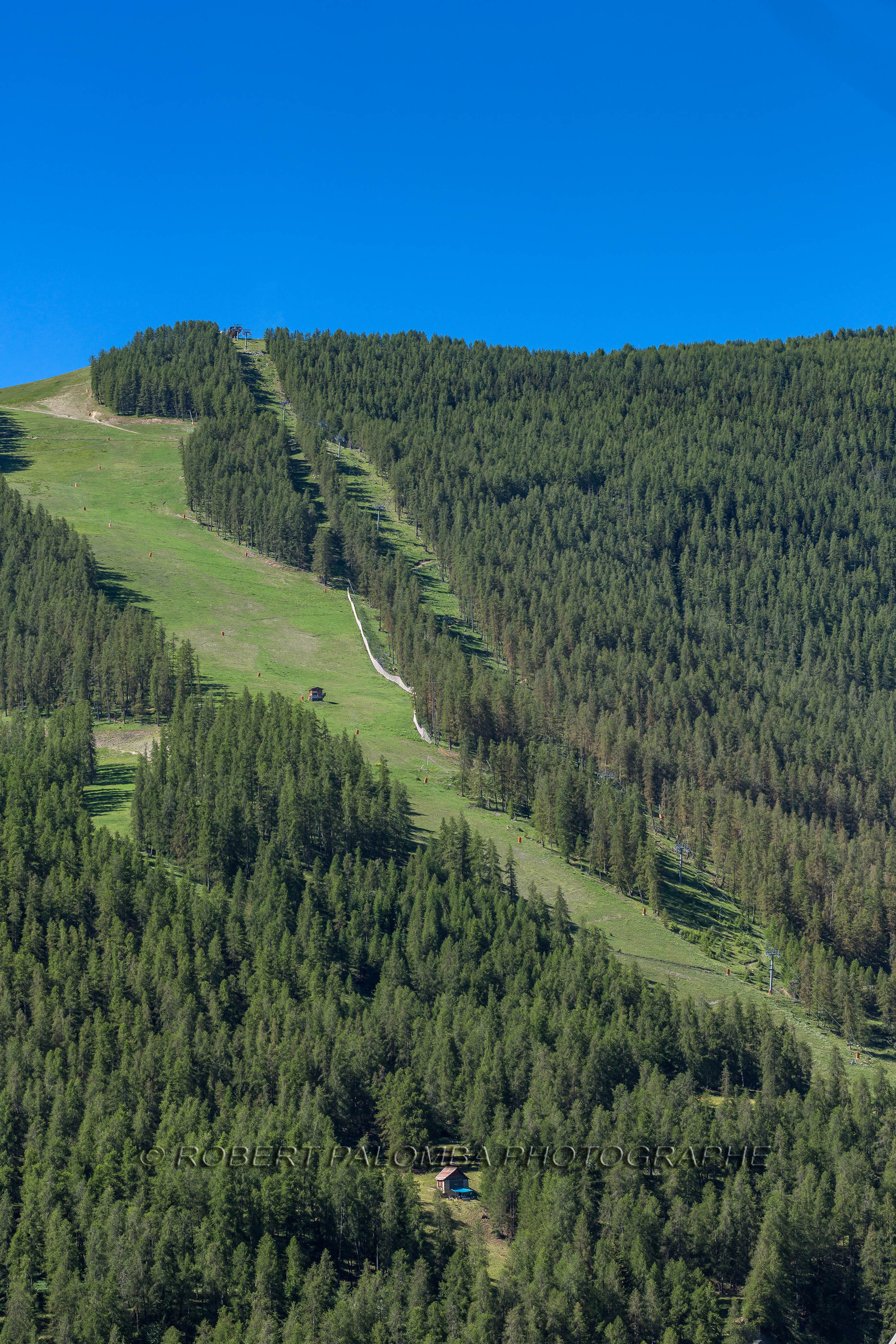 Auron