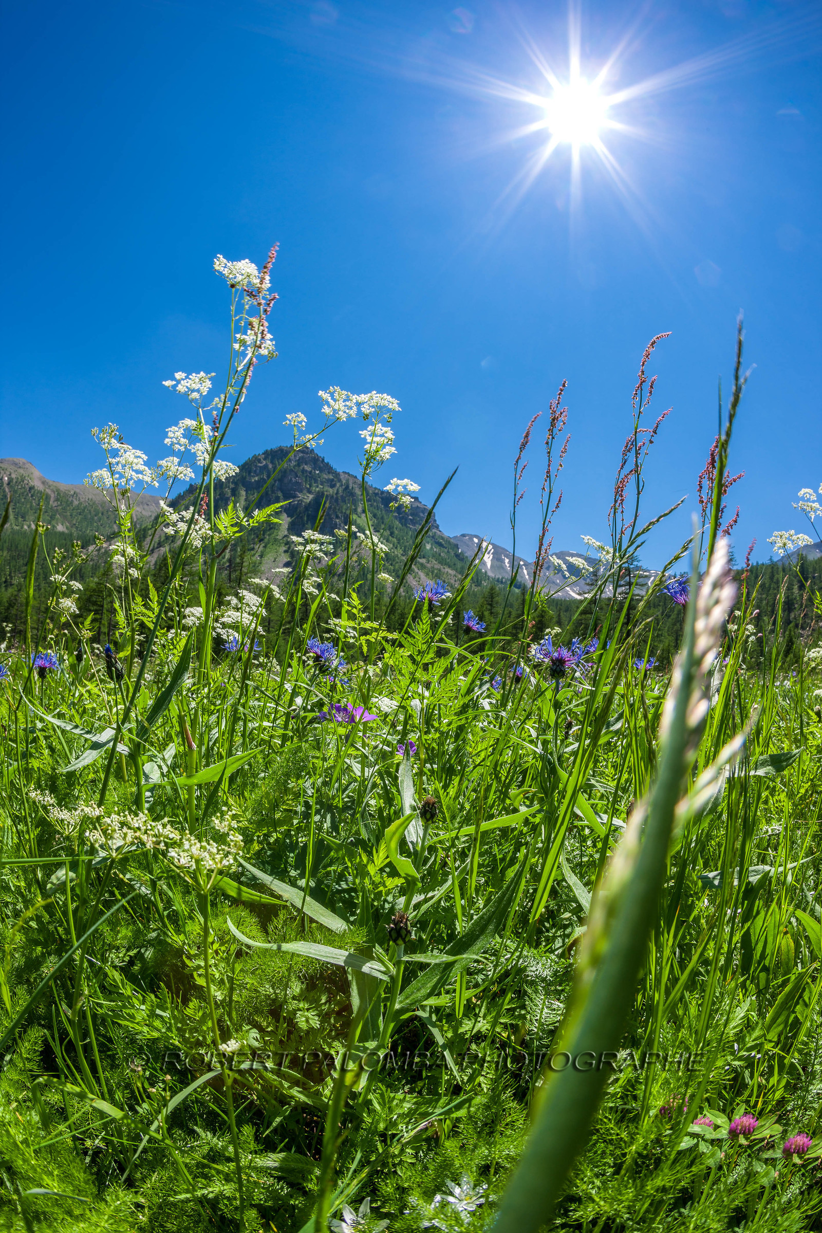Col de la Moutière