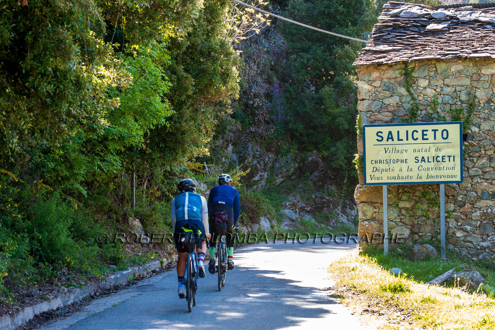Saliceto