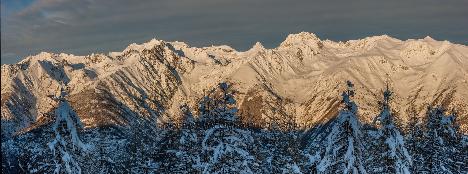 Auron