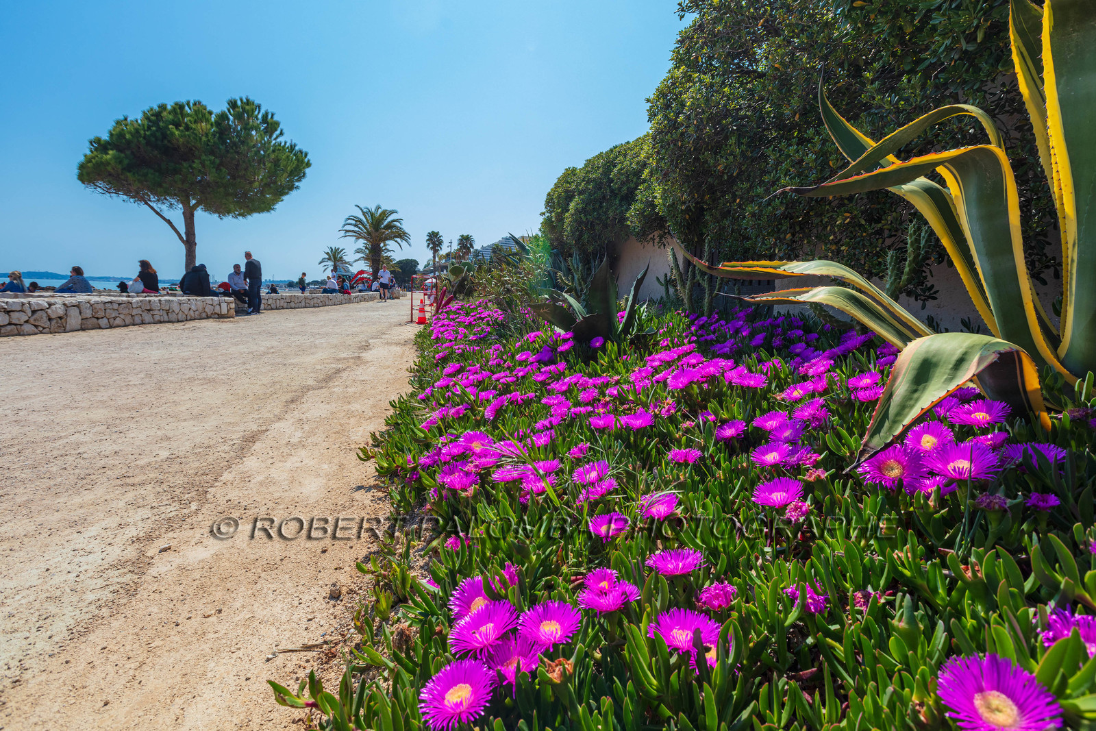 Villeneuve-Loubet