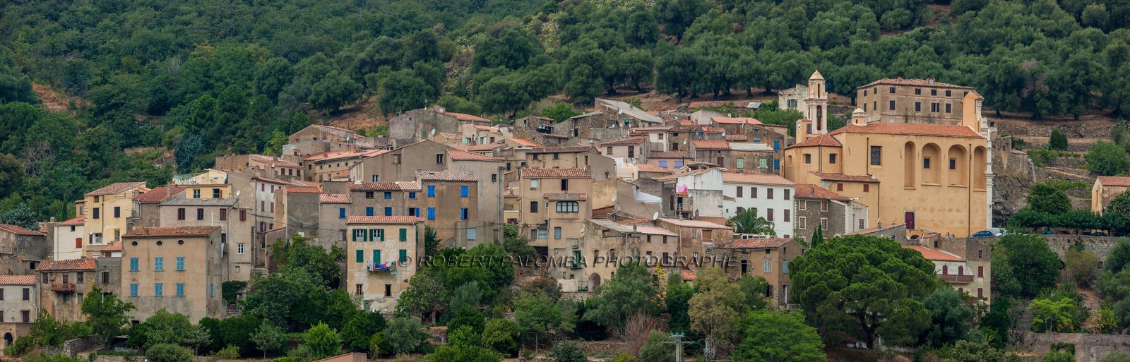 Muro