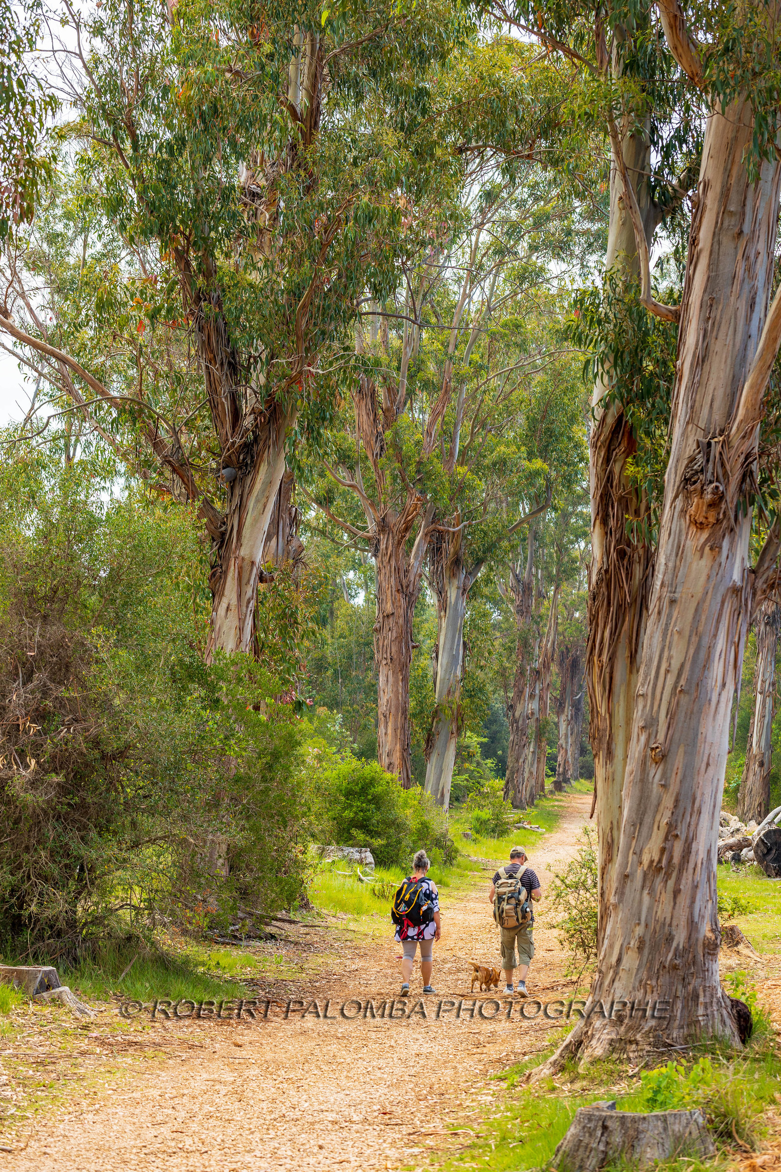 Lérins Sainte-Marguerite