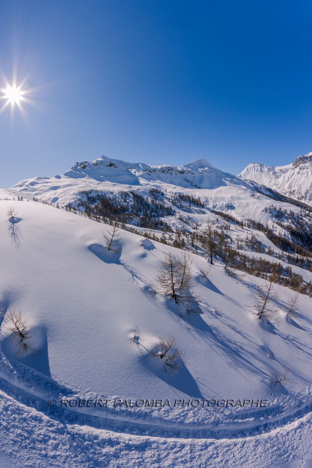 Auron