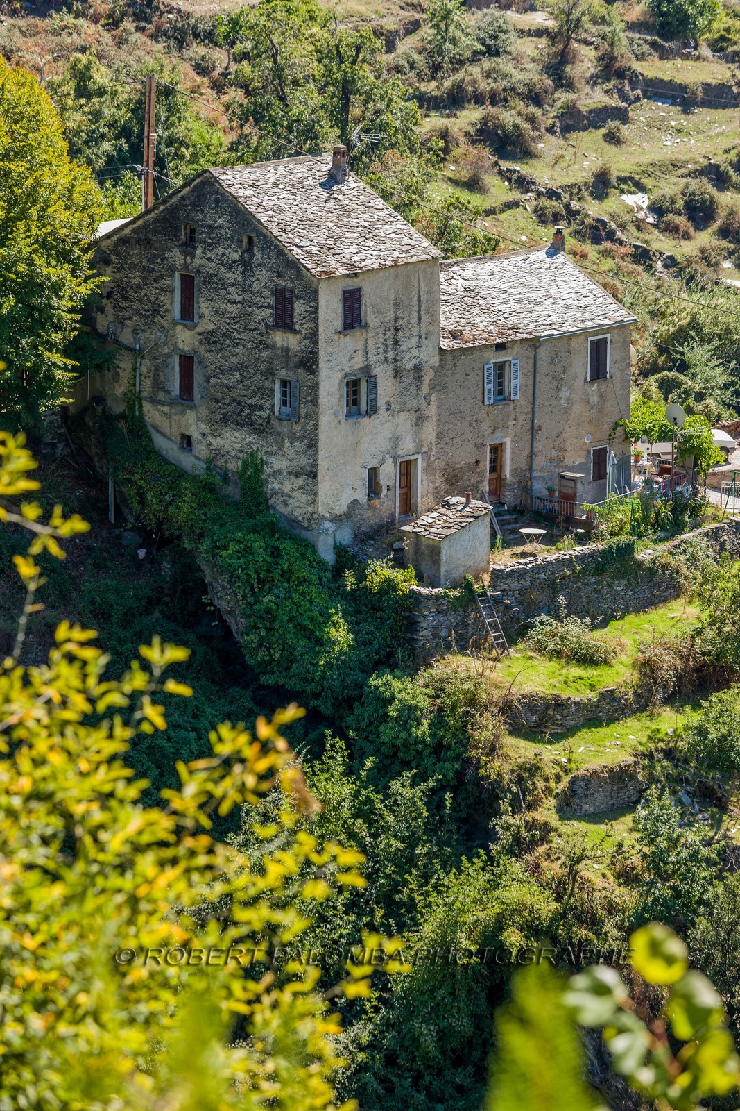Morosaglia