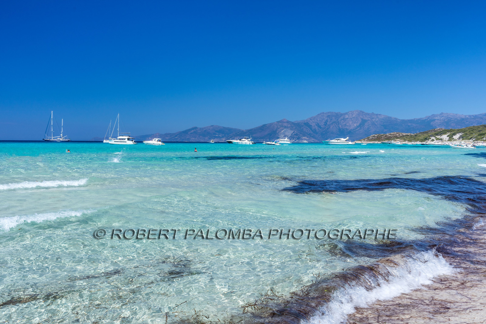 Saleccia