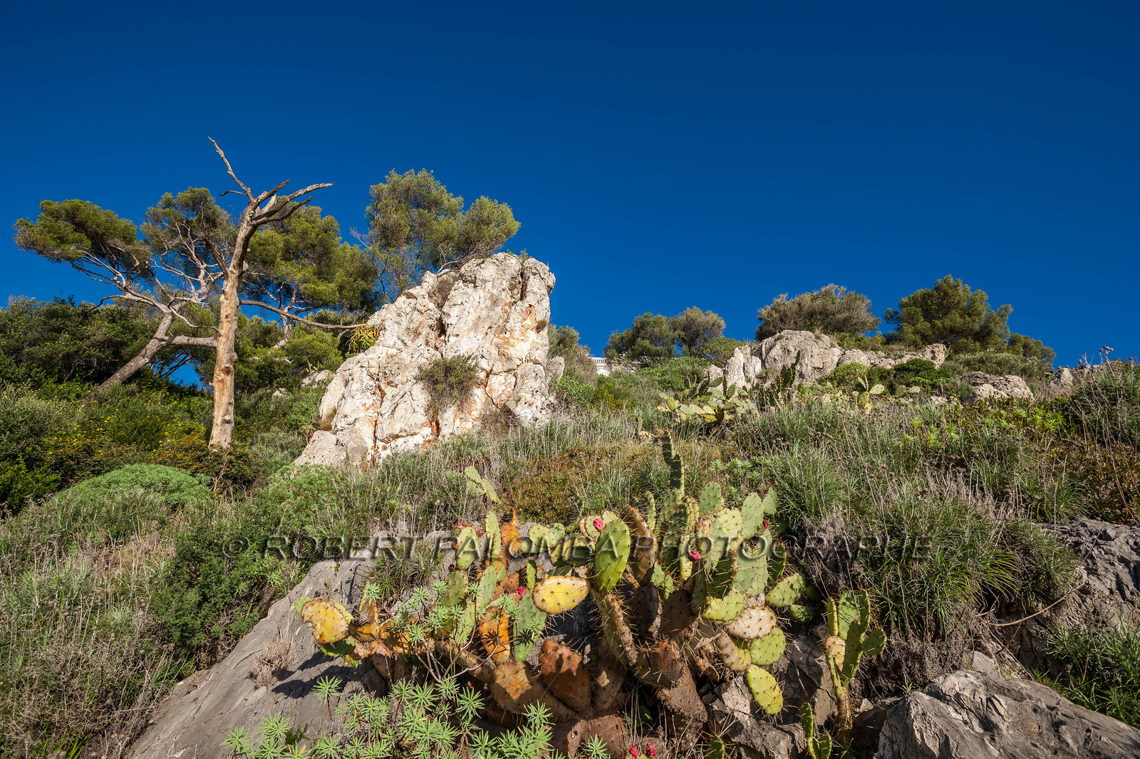 Roquebrune-Cap-Martin